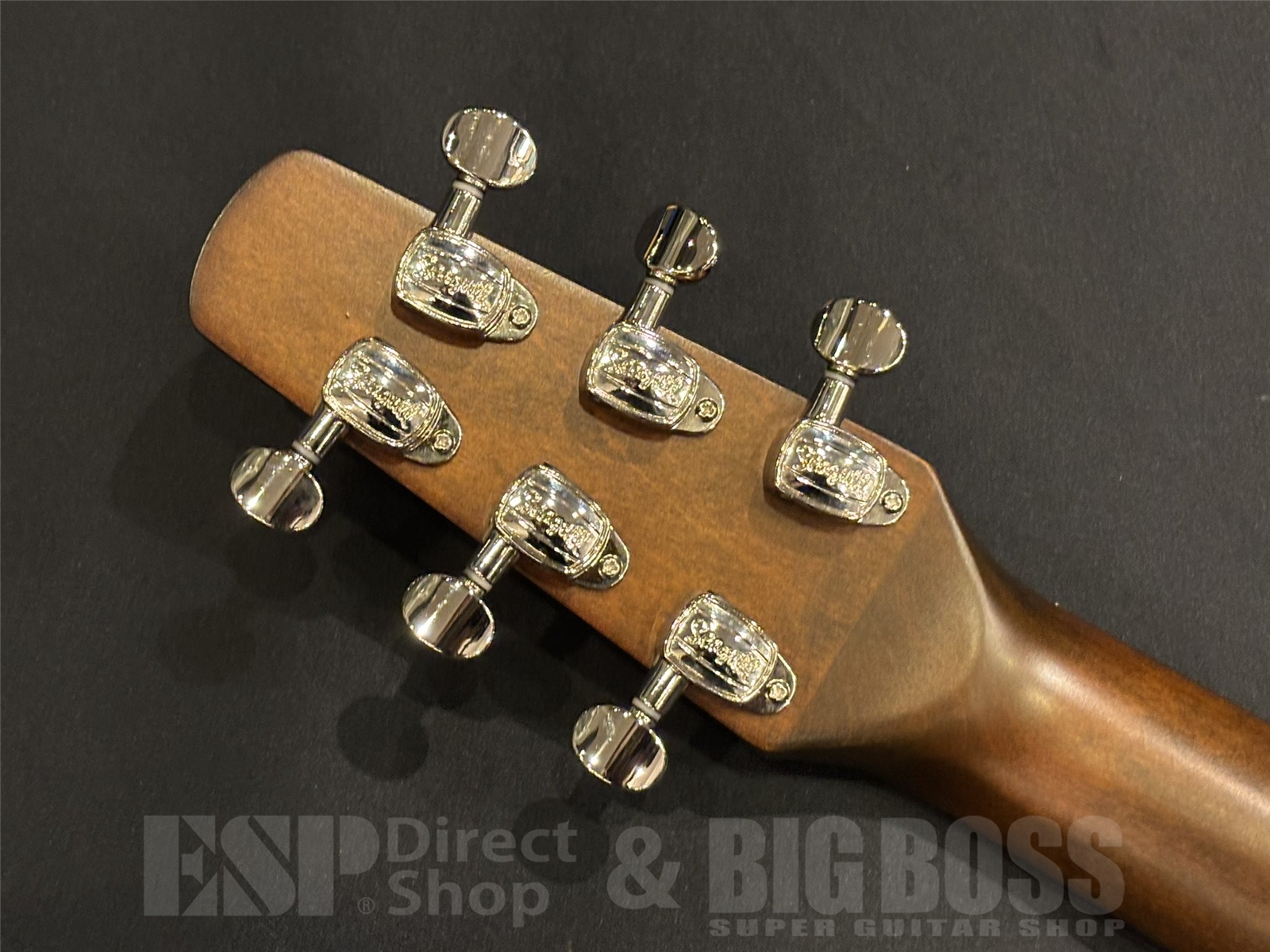 【即納可能】Seagull(シーガル) S6 CEDAR ORIGINAL / SLIM 京都店