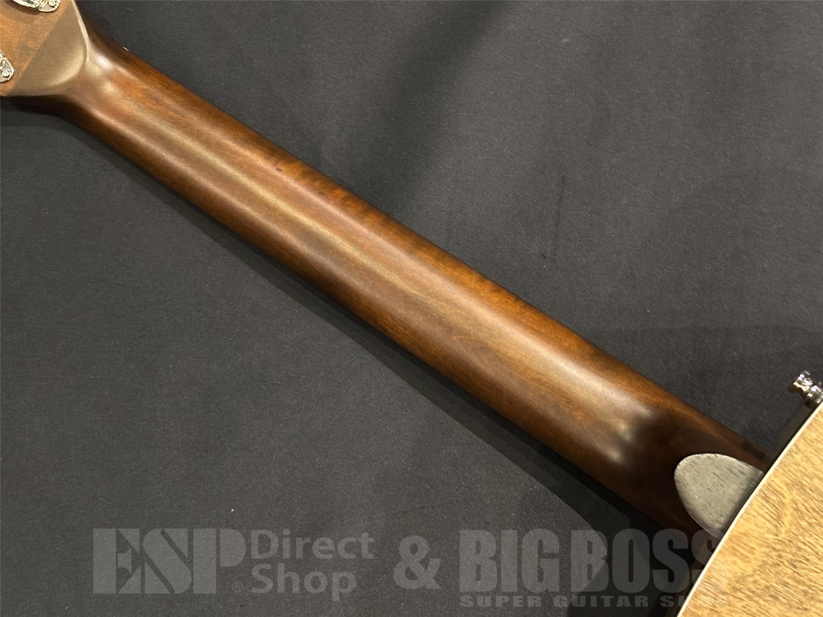 【即納可能】Seagull(シーガル) S6 CEDAR ORIGINAL / SLIM 京都店