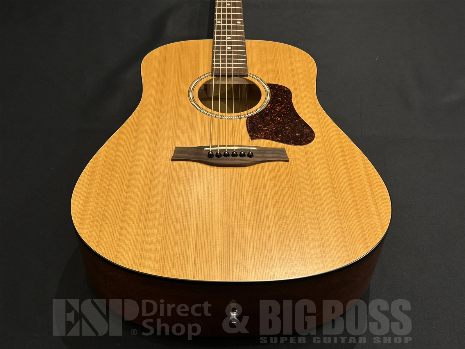 【即納可能】Seagull(シーガル) S6 CLASSIC / BLACK 京都店