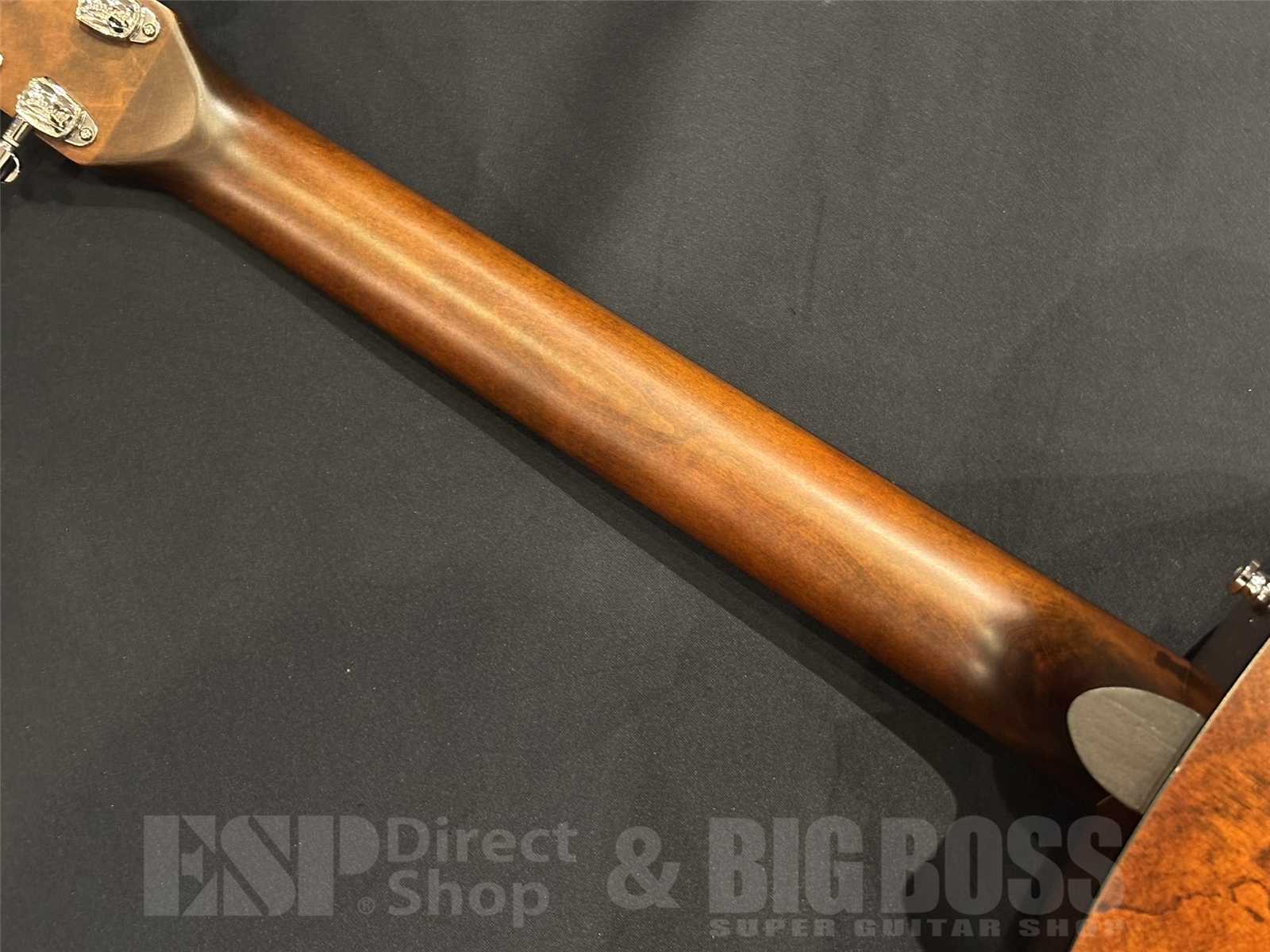 【即納可能】Seagull(シーガル) S6 CLASSIC / BLACK 京都店