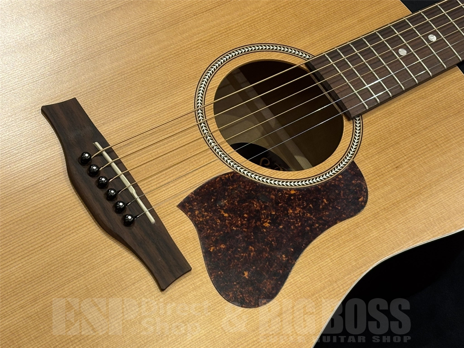 【即納可能】Seagull(シーガル) S6 CLASSIC / BLACK 京都店