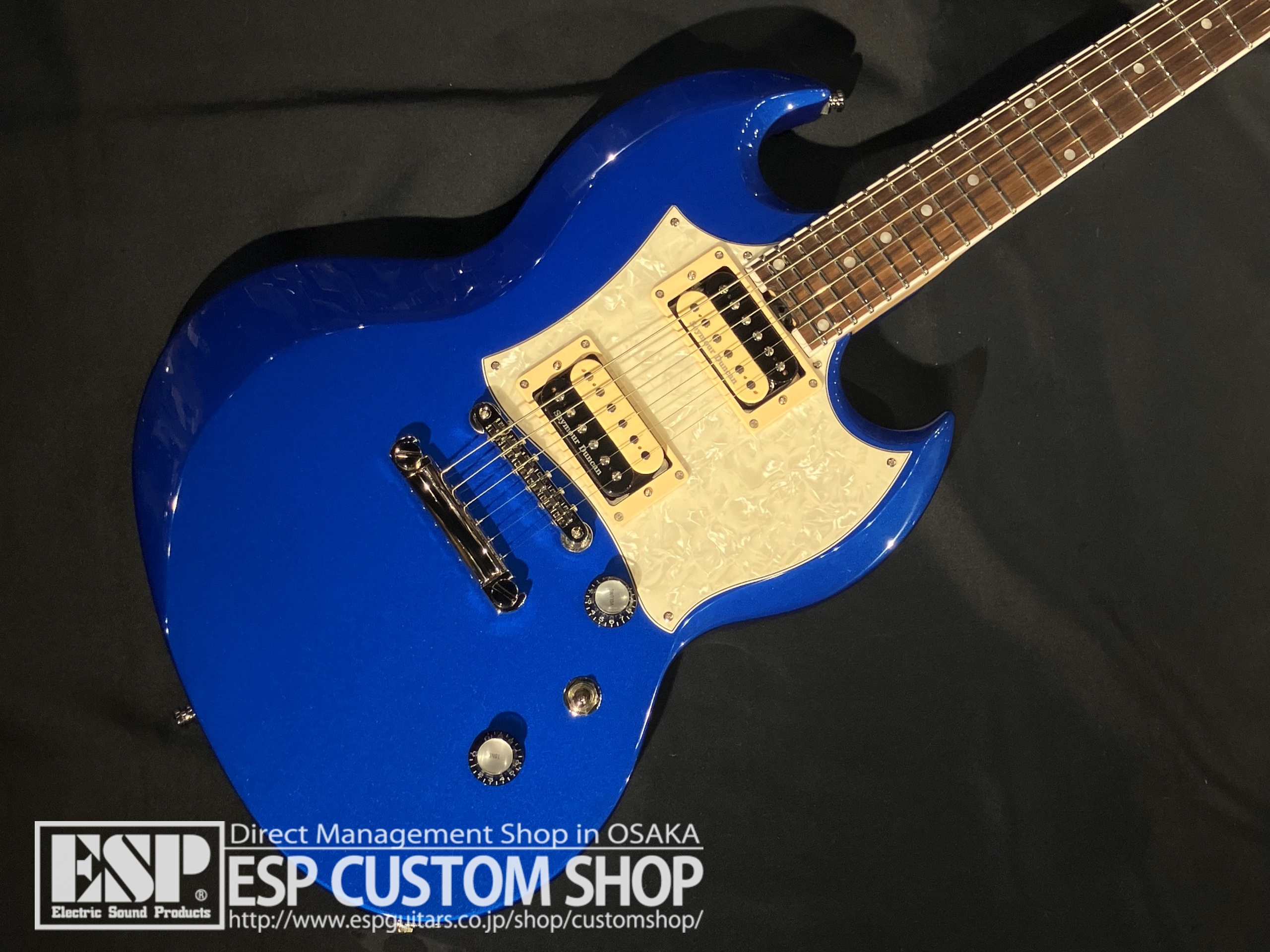 【即納可能】EDWARDS（エドワーズ）E-VIPER-CTM / Metallic Blue 大阪店