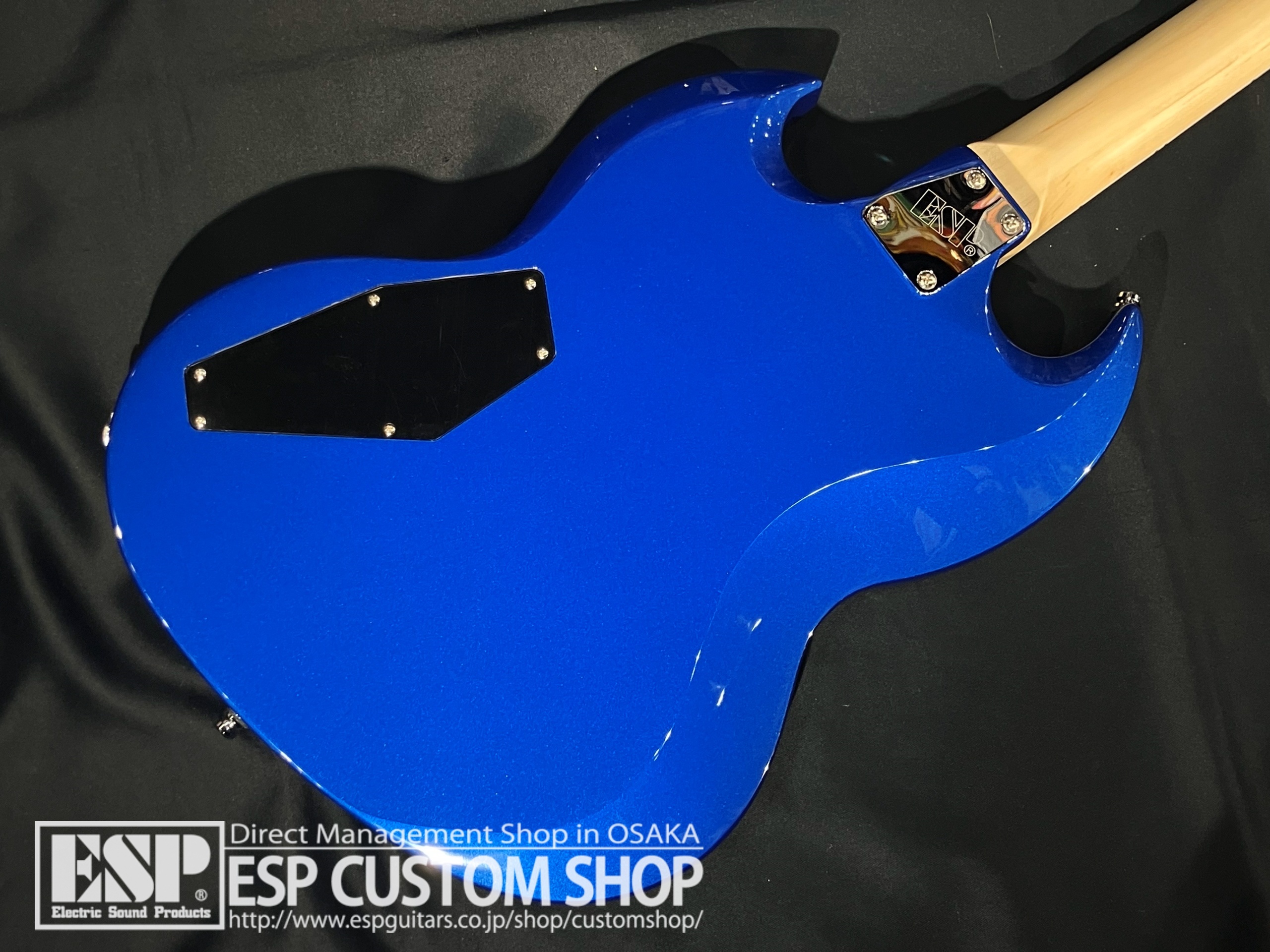 【即納可能】EDWARDS（エドワーズ）E-VIPER-CTM / Metallic Blue 大阪店