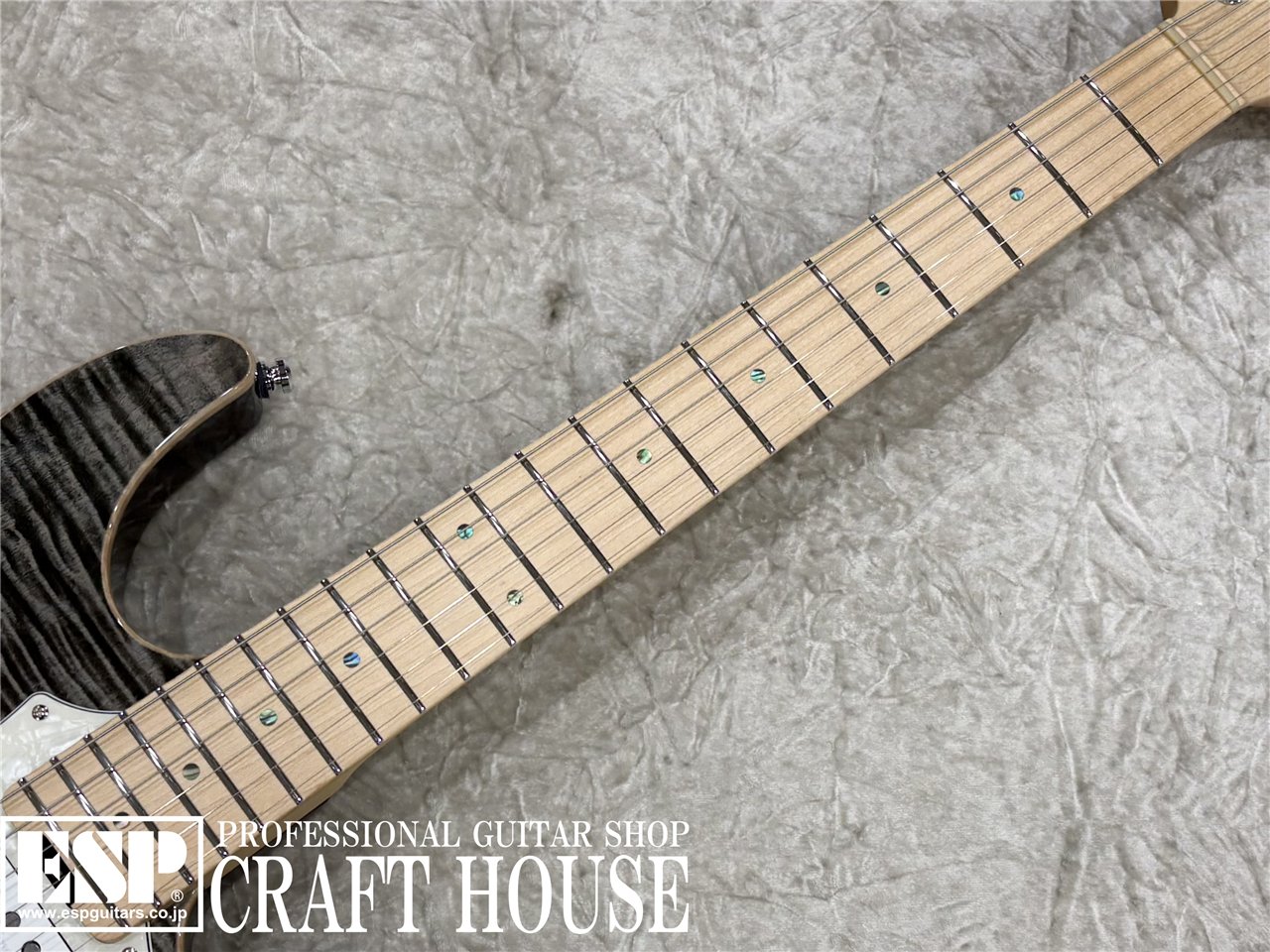 【即納可能】ESP SNAPPER-CTM/FM / See Thru Black w/White Pearl Black 渋谷店