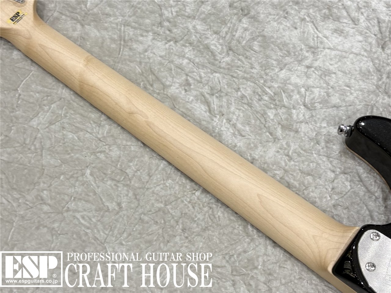 【即納可能】ESP SNAPPER-CTM/FM / See Thru Black w/White Pearl Black 渋谷店