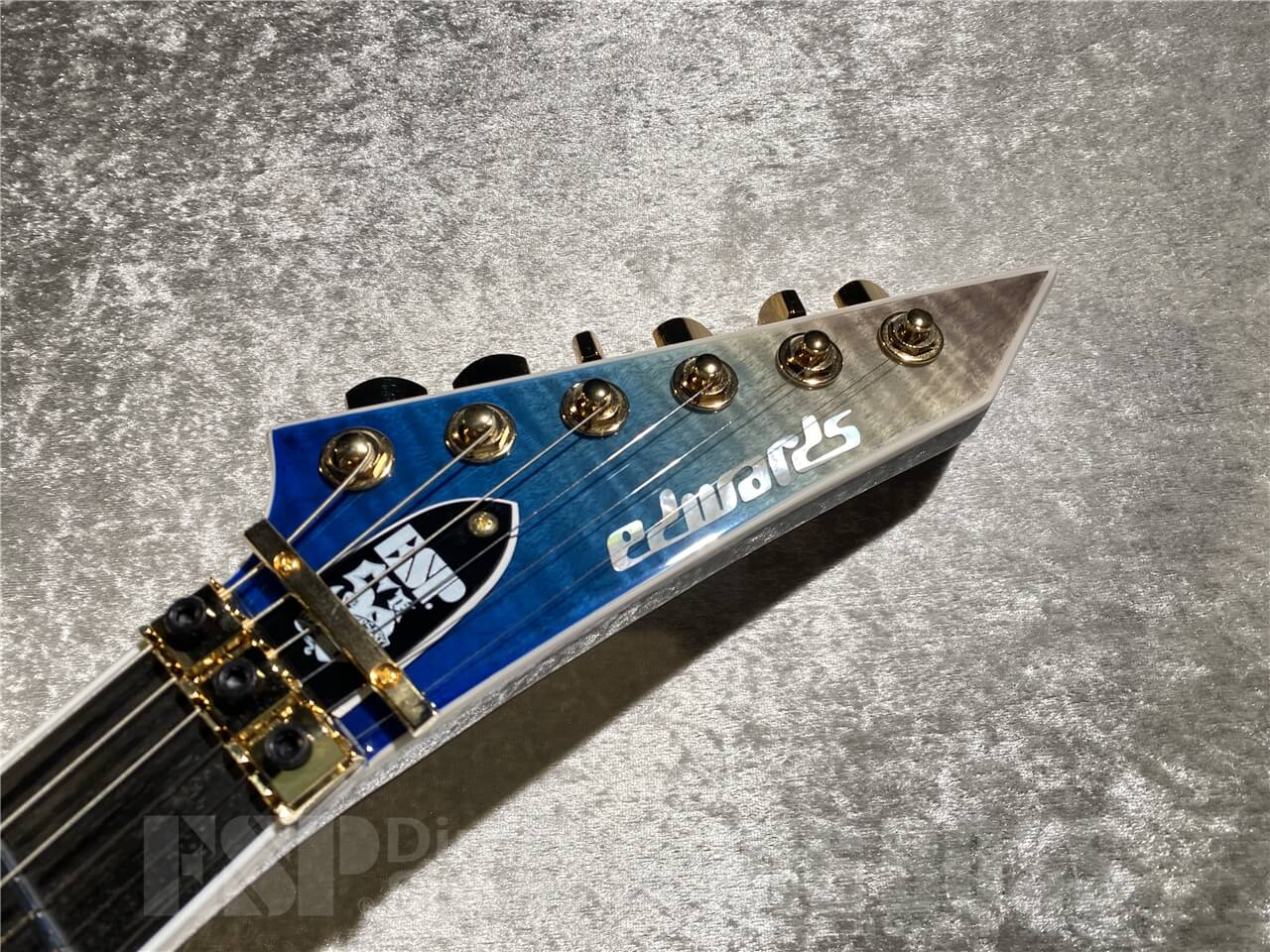 【即納可能】EDWARDS(エドワーズ) E-HORIZON-CTM 50TH (Black Aqua Burst C / Blue Pearl Back) 札幌店