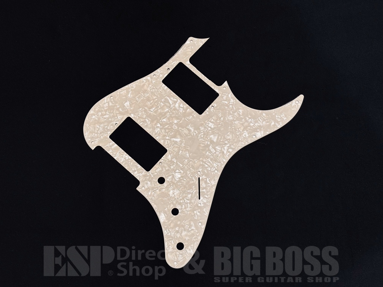 【即納可能】EDWARDS(エドワーズ) E-SNAPPER TO -Eclipse Gold- (大村孝佳モデル) 大阪店