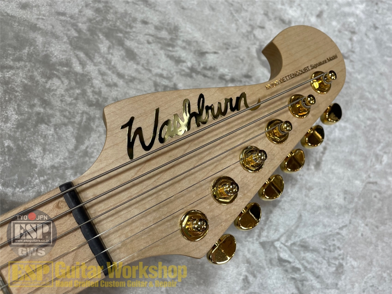 Washburn NELE STANDARD/GWS