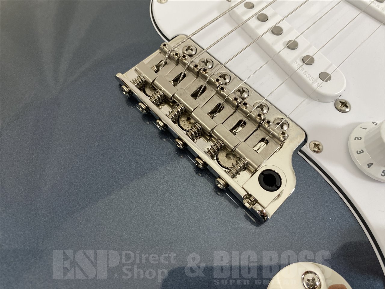 【即納可能】Paul Reed Smith(ポールリードスミス/PRS) SILVER SKY (Venetian Blue / Rosewood) (2025年製 S/N 0417907)