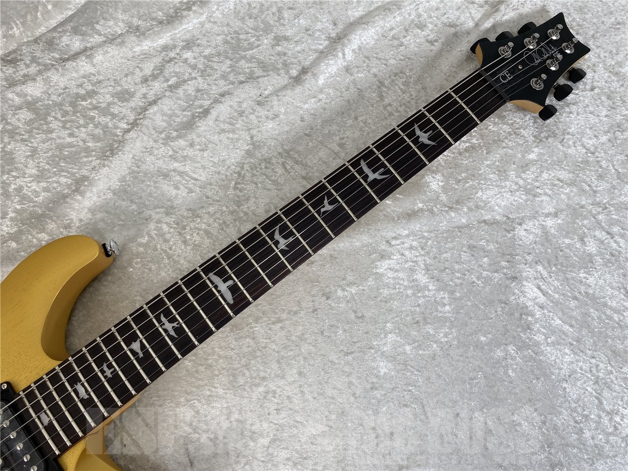 【即納可能】Paul Reed Smith(PRS/ポールリードスミス) SE CE 24 Standard Stoptail Satin / Metallic Gold (2025年製) お茶の水駅前店(東京)