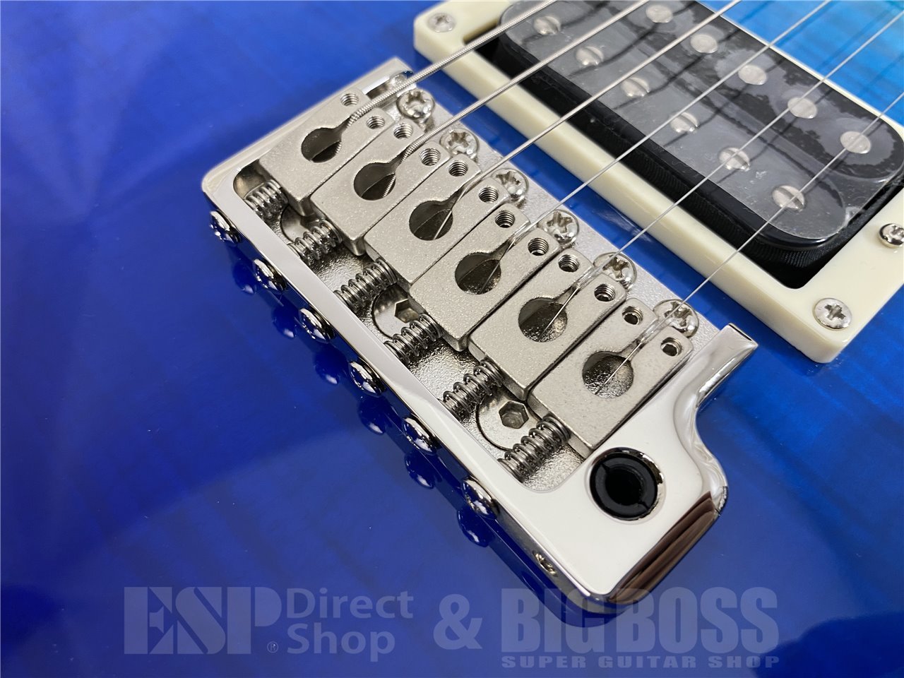 【即納可能】Paul Reed Smith(PRS/ポールリードスミス) SE Custom 24(Blue Fade)#G105064 (2025年製) お茶の水駅前店(東京)