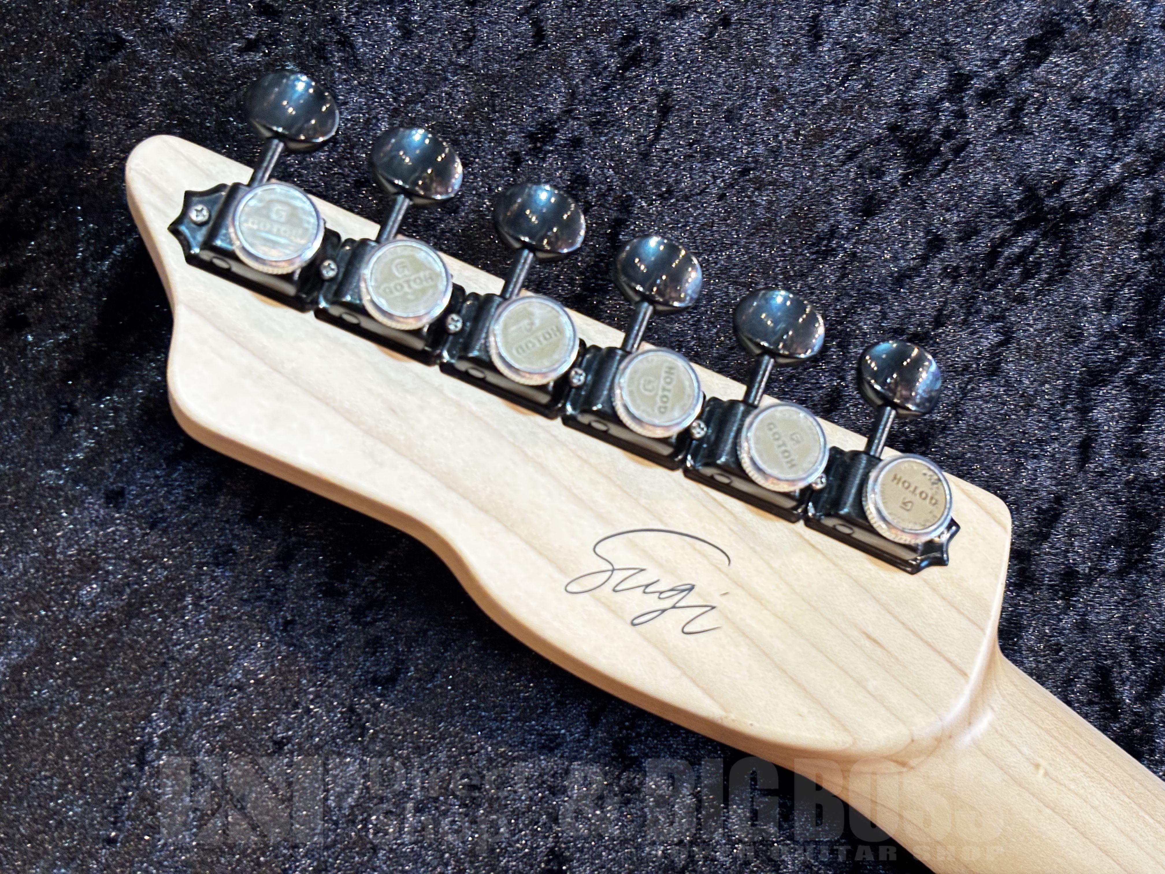 【即納可能】SAITO GUITARS(サイトウギターズ)	SG S-JMC-SGR MIA 1H【Green】福岡店