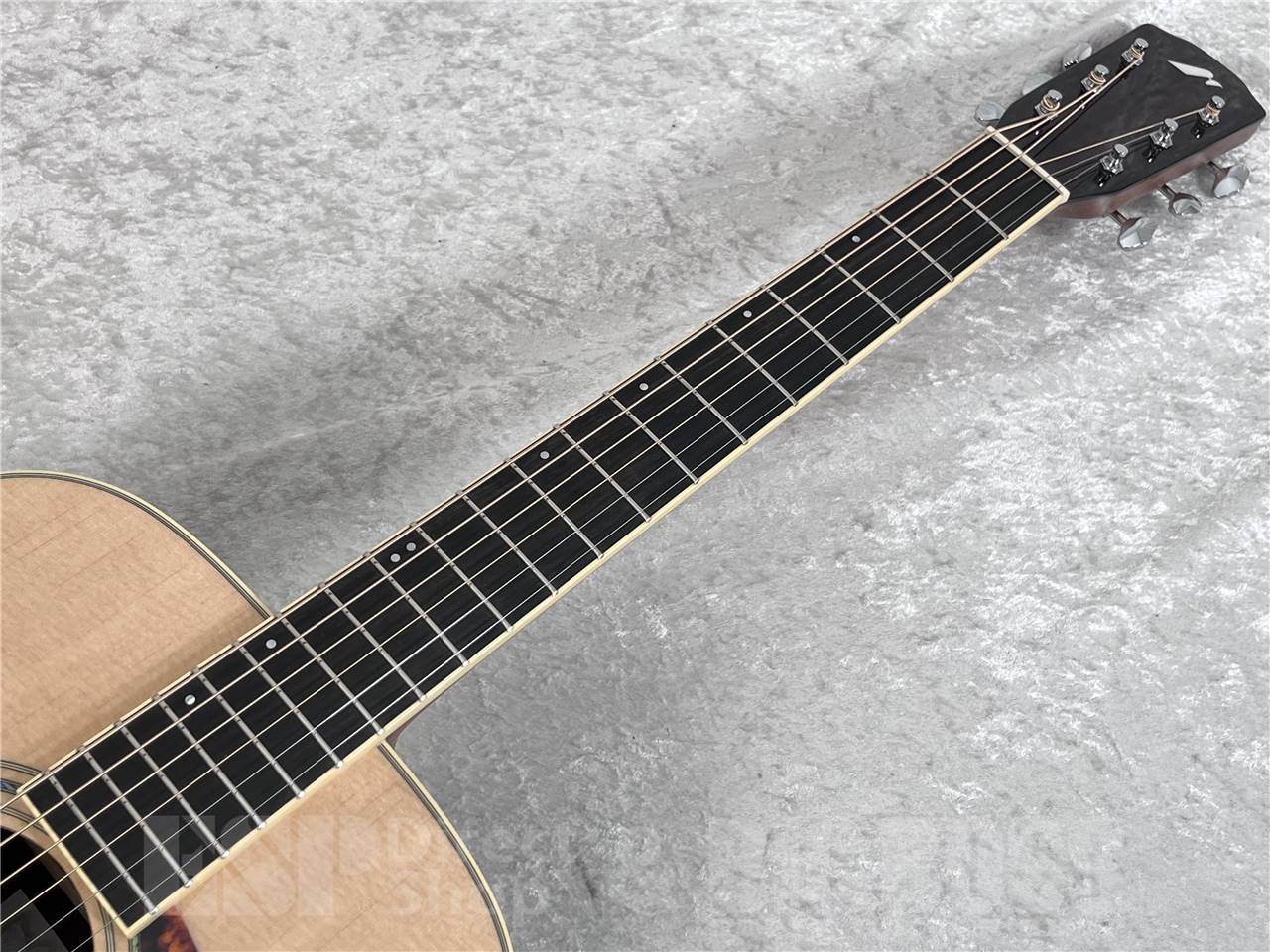 【即納可能】Morris(モーリス) FE-101 (アコースティックギター)お茶の水駅前店・別館