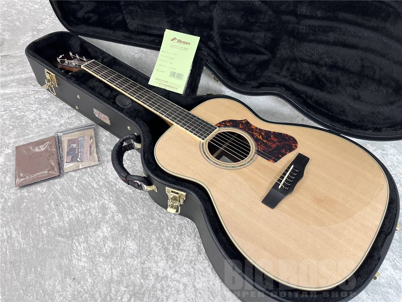 【即納可能】Morris(モーリス) FE-101 (アコースティックギター)お茶の水駅前店・別館