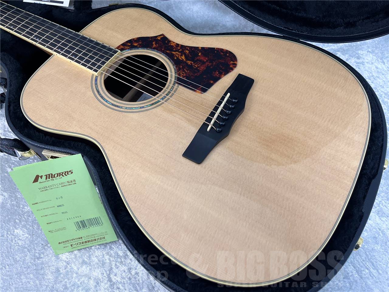 【即納可能】Morris(モーリス) FE-101 (アコースティックギター)お茶の水駅前店・別館