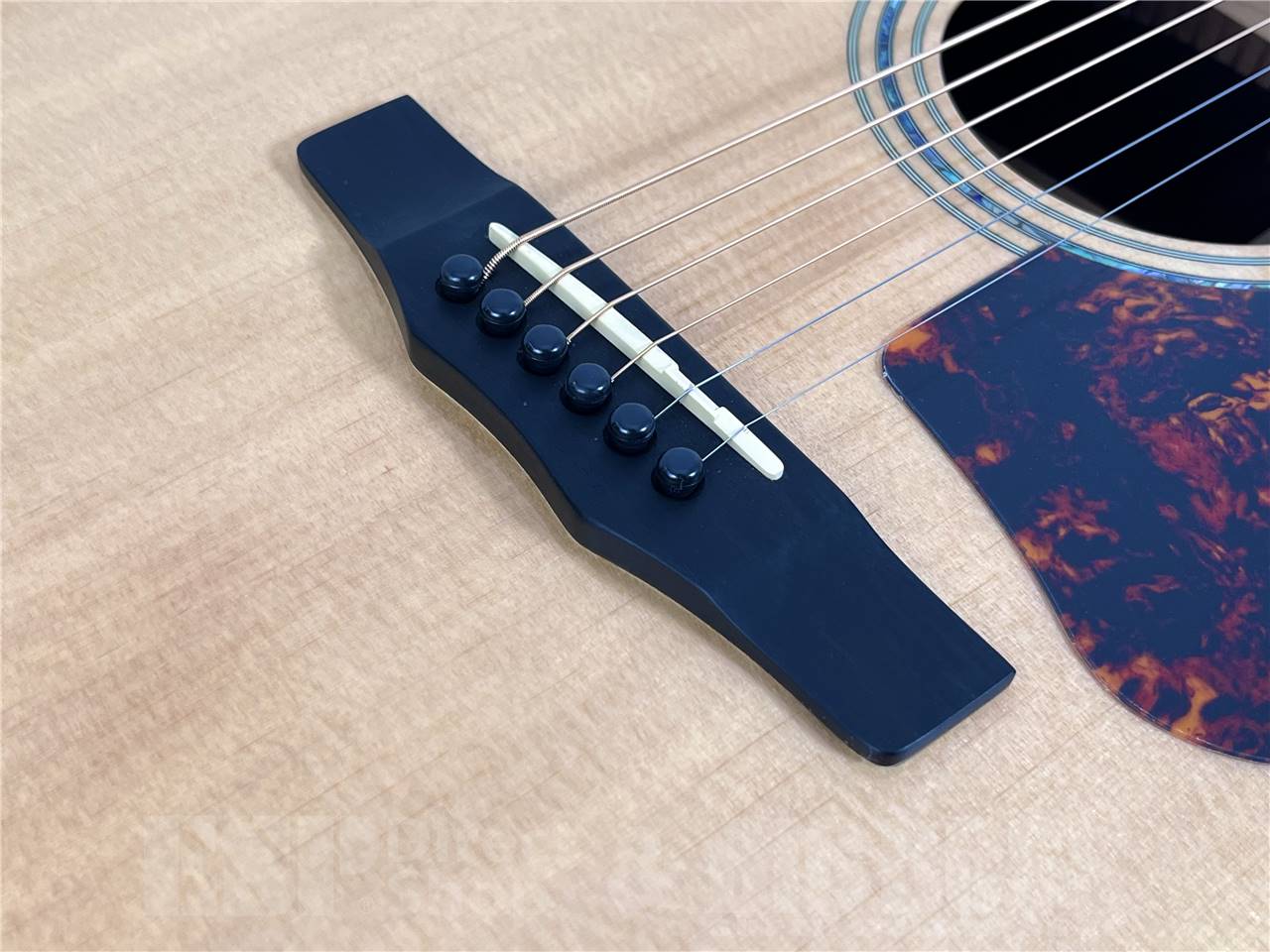 【即納可能】Morris(モーリス) FE-101 (アコースティックギター)お茶の水駅前店・別館