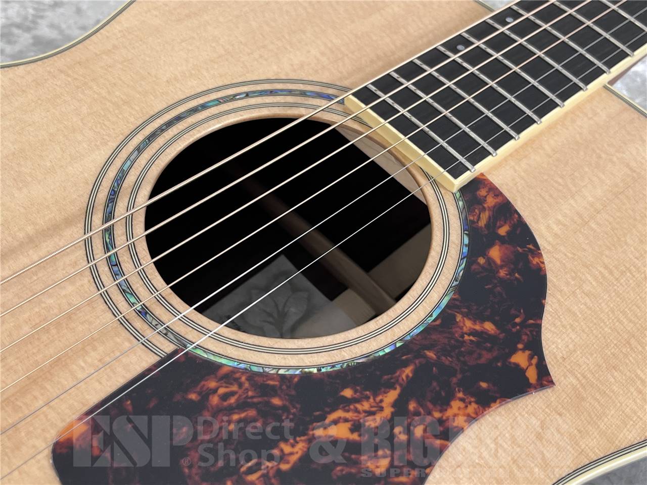 【即納可能】Morris(モーリス) FE-101 (アコースティックギター)お茶の水駅前店・別館