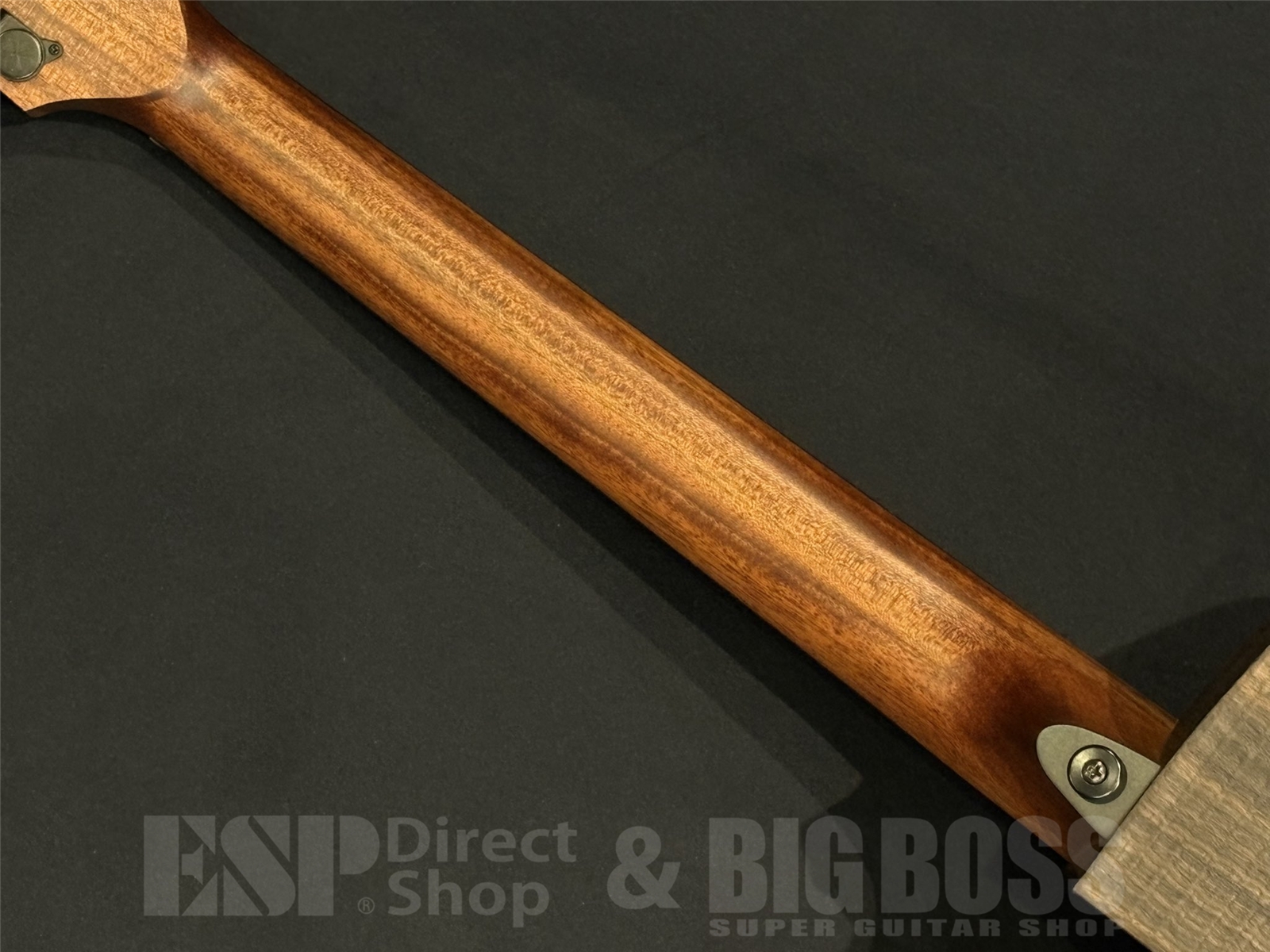 【即納可能】LAG Guitars(ラグギターズ) SAUVAGE-JCE 京都店