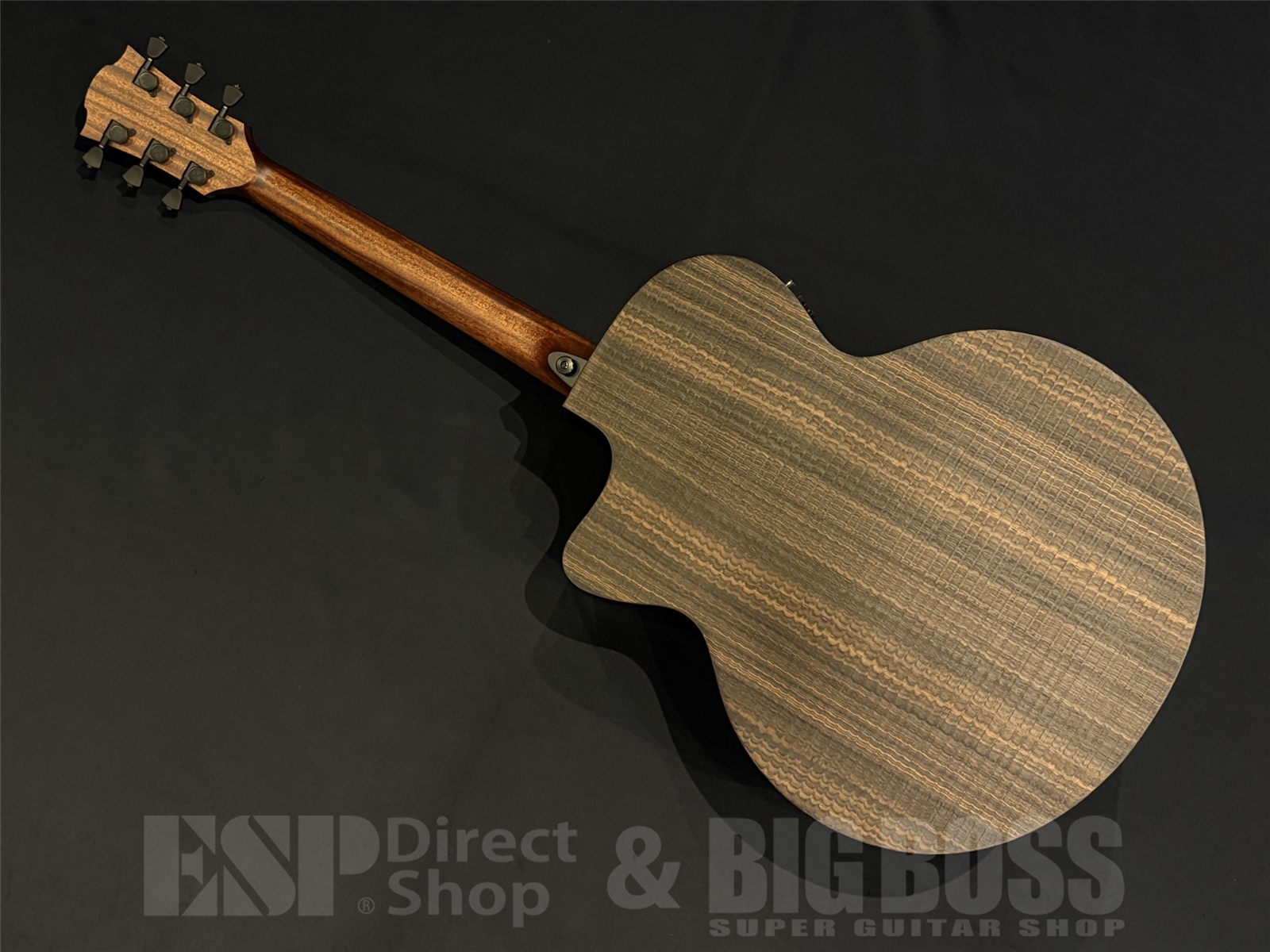 【即納可能】LAG Guitars(ラグギターズ) SAUVAGE-JCE 京都店