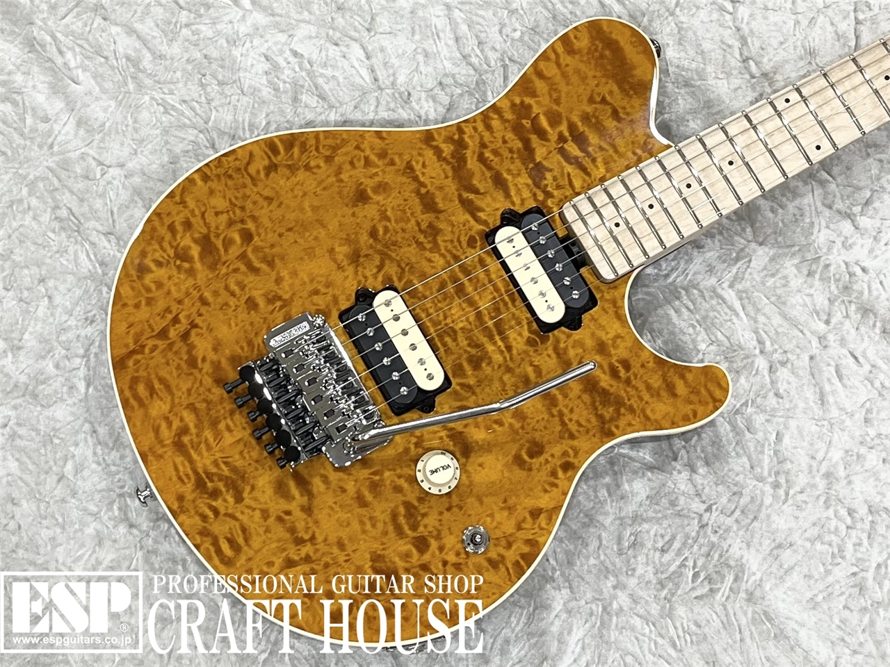 【即納可能】MUSIC MAN AXIS KID SPECIAL / Trans Gold / Quilt MH　渋谷店