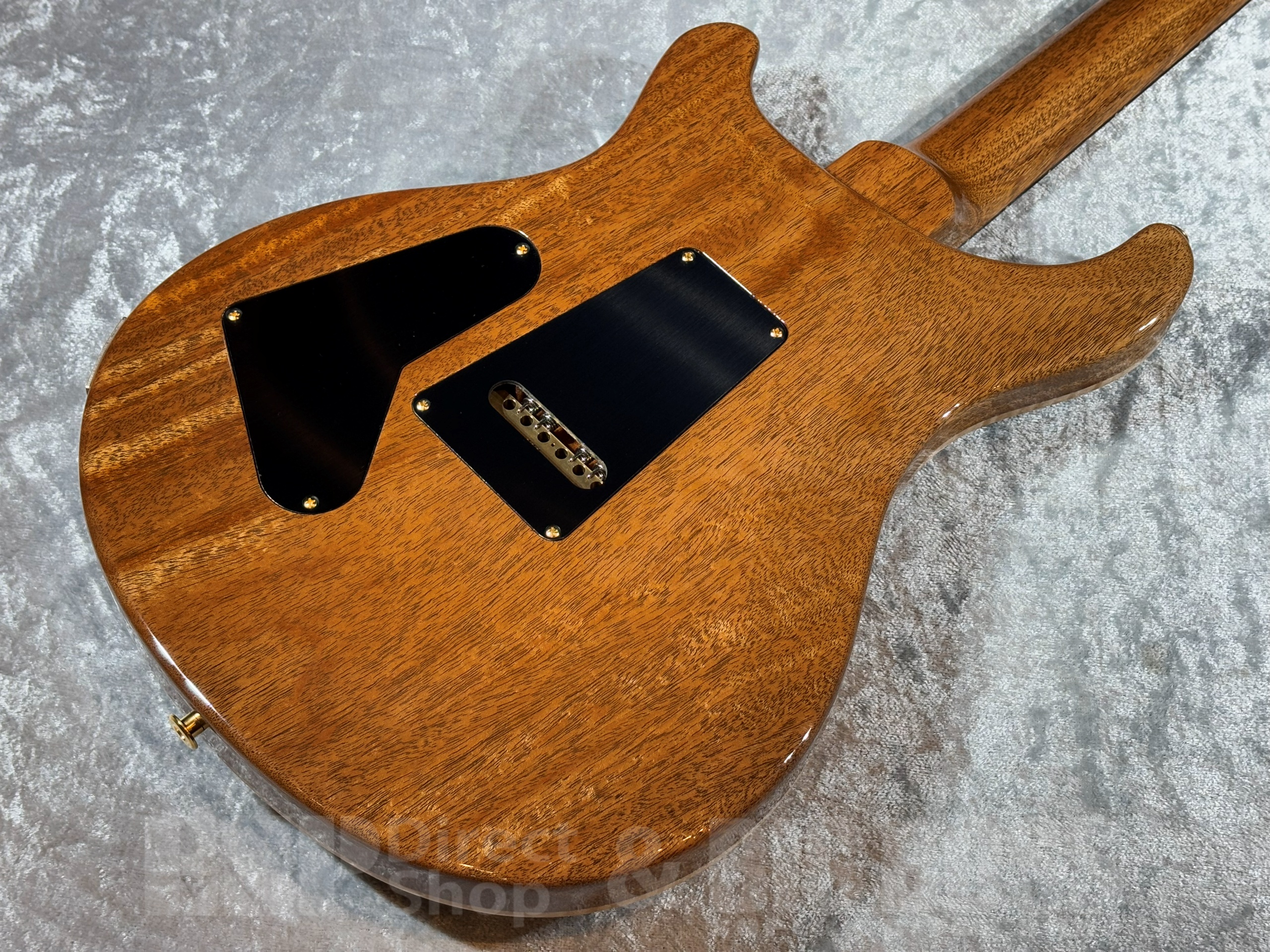 【即納可能】Paul Reed Smith(ポールリードスミス/PRS) Custom 24 10Top / Aurora Borealis (2025年製 S/N 0415403)