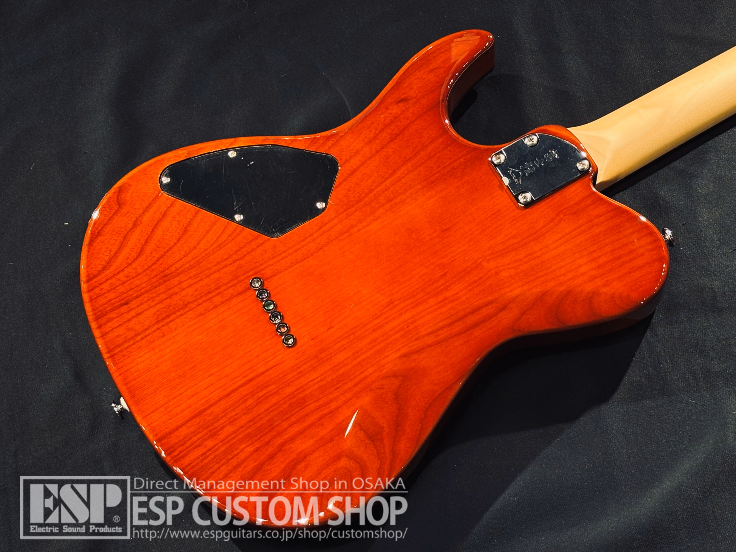 【即納可能】FUJIGEN(FGN) JIL2-DU-EW2-R KNB (Koa Natural Burst) 大阪店