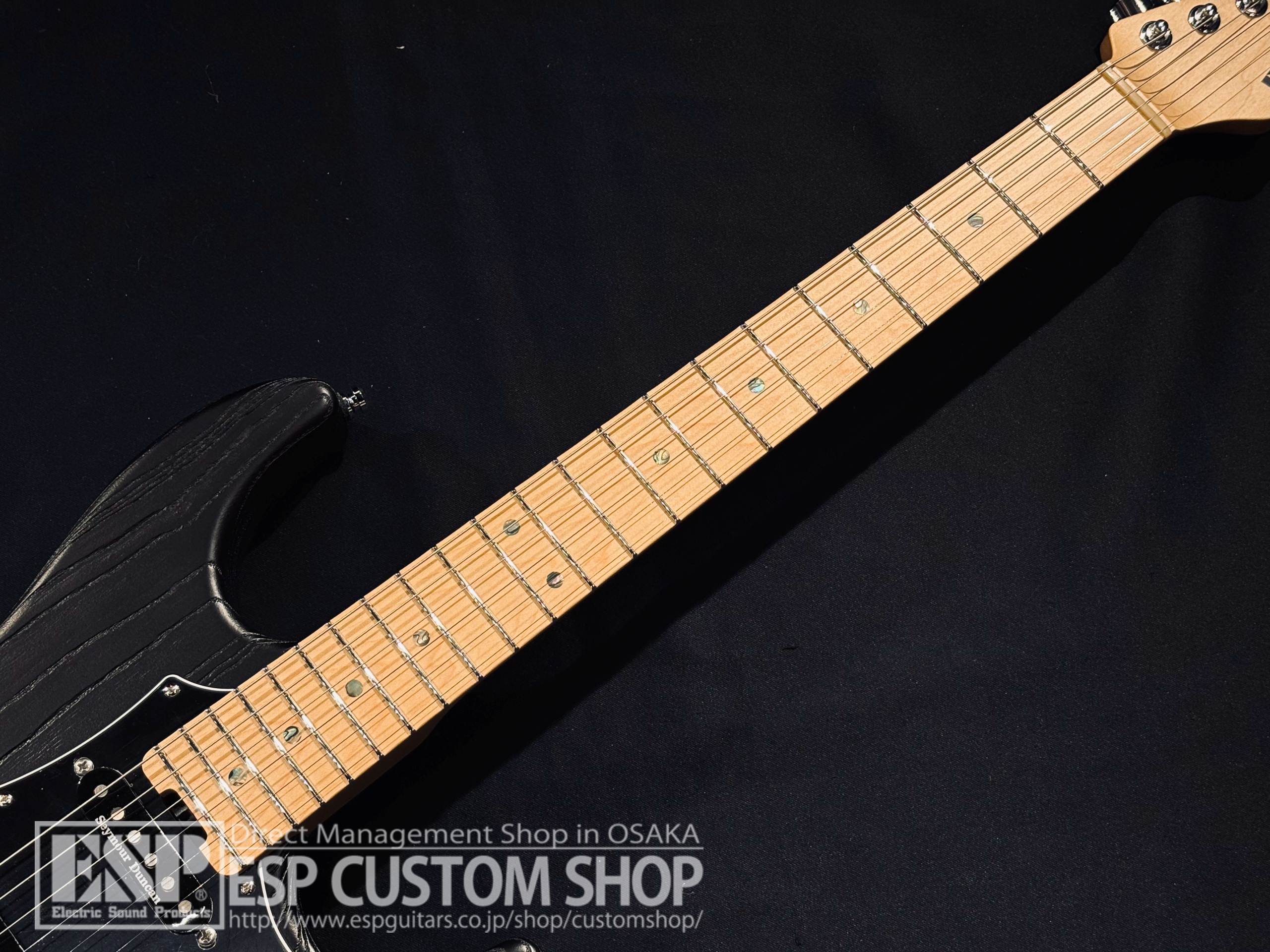 【即納可能】ESP(イーエスピー) SNAPPER-AS/M DRIFTWOOD / Black (Color Order Model) 大阪店