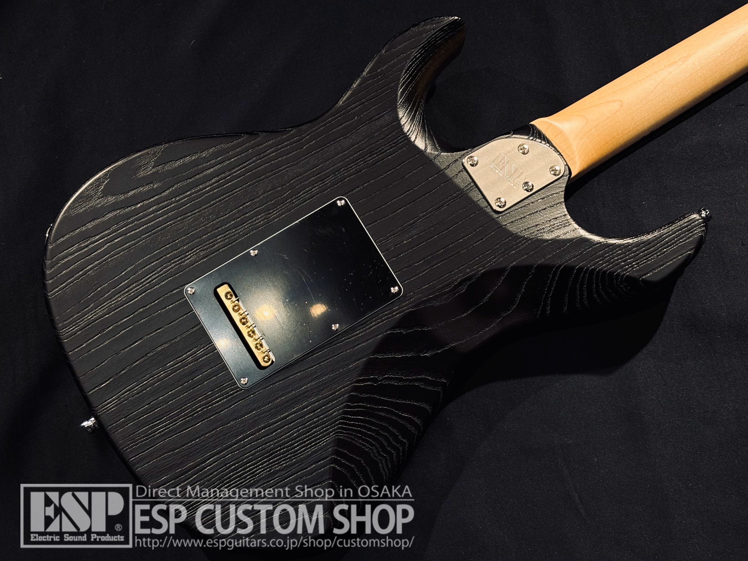 【即納可能】ESP(イーエスピー) SNAPPER-AS/M DRIFTWOOD / Black (Color Order Model) 大阪店