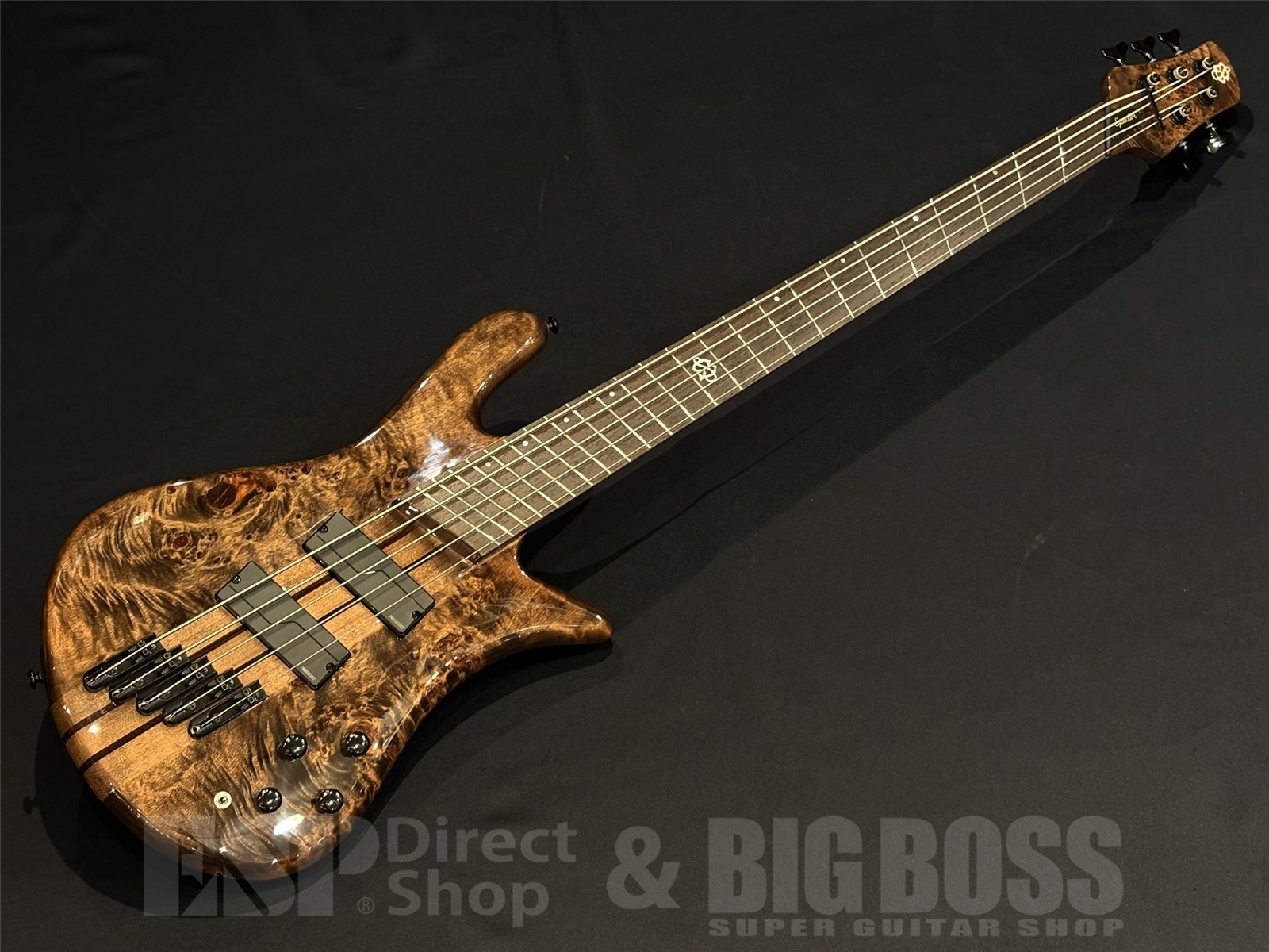 【USED/即納可能】Spector(スペクター) NS DIMENSION MS 5 / Super Faded Black Gloss 京都店