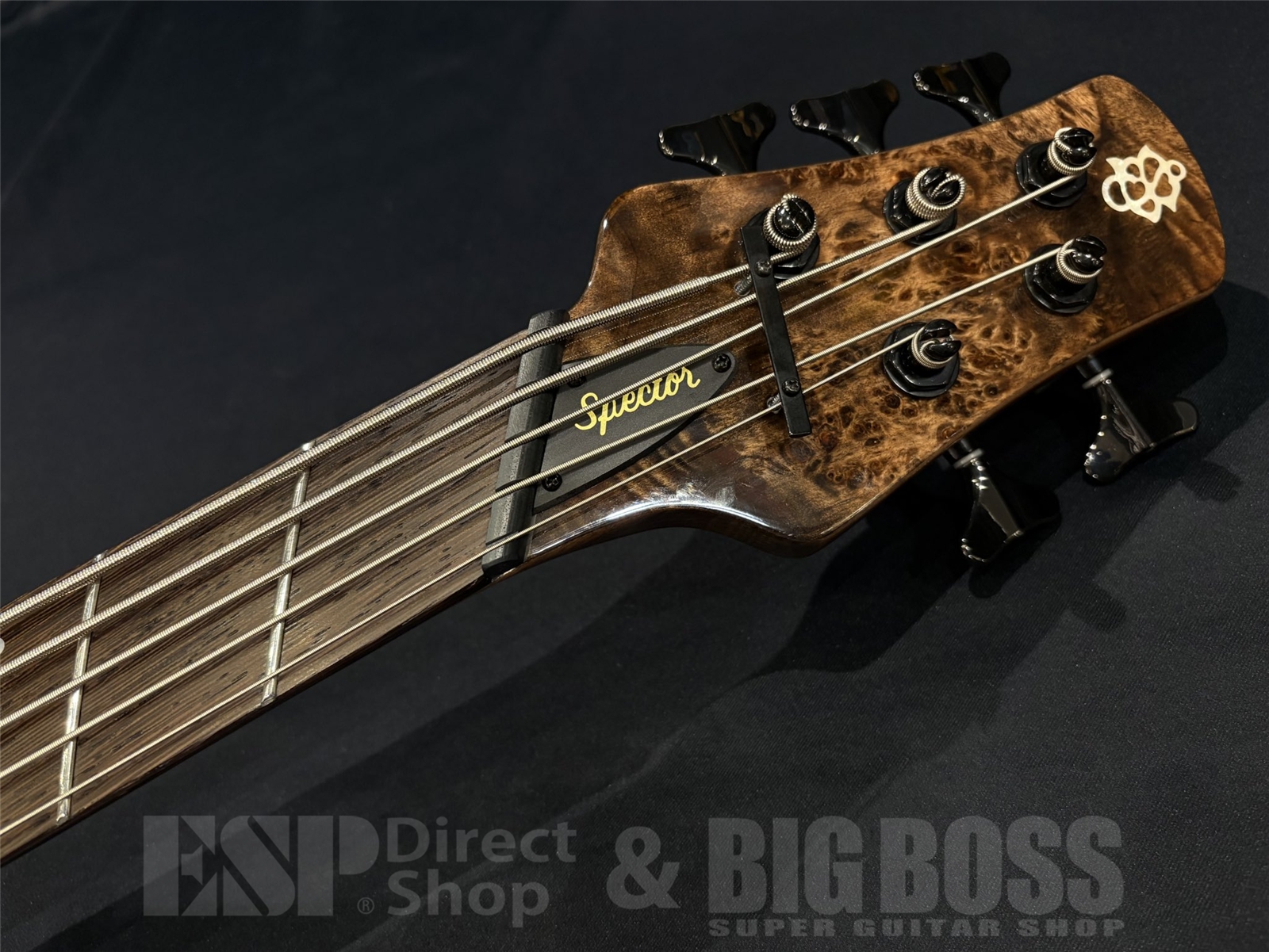 【USED/即納可能】Spector(スペクター) NS DIMENSION MS 5 / Super Faded Black Gloss 京都店