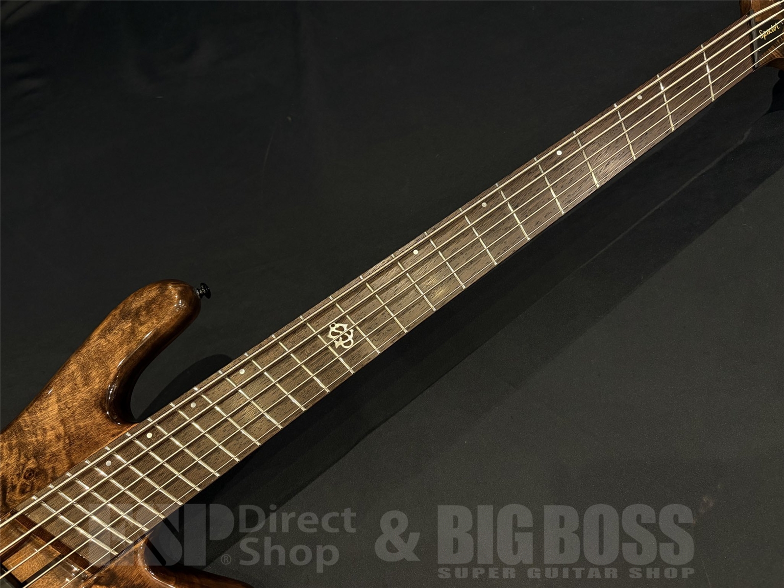 【USED/即納可能】Spector(スペクター) NS DIMENSION MS 5 / Super Faded Black Gloss 京都店