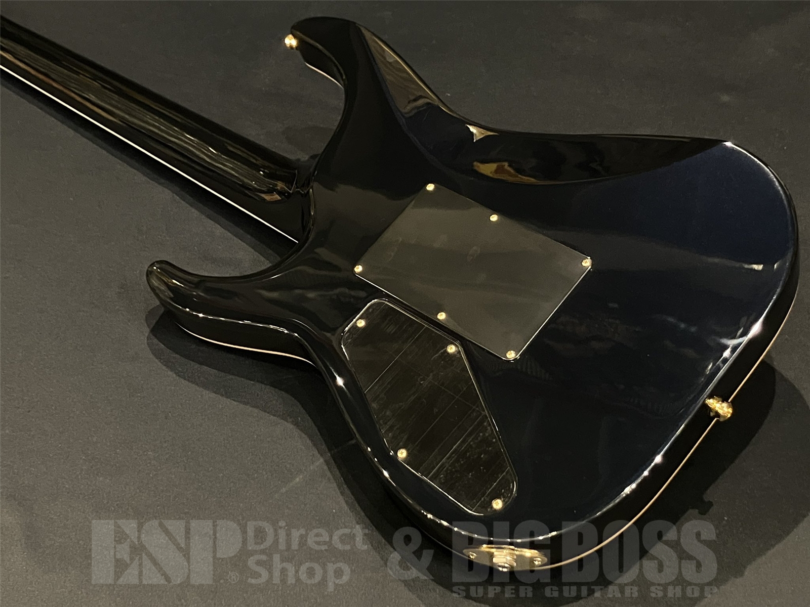 【即納可能】EDWARDS(エドワーズ) E-HORIZON-CTM 50TH (Black Aqua Burst C / Blue Pearl Back) 京都店