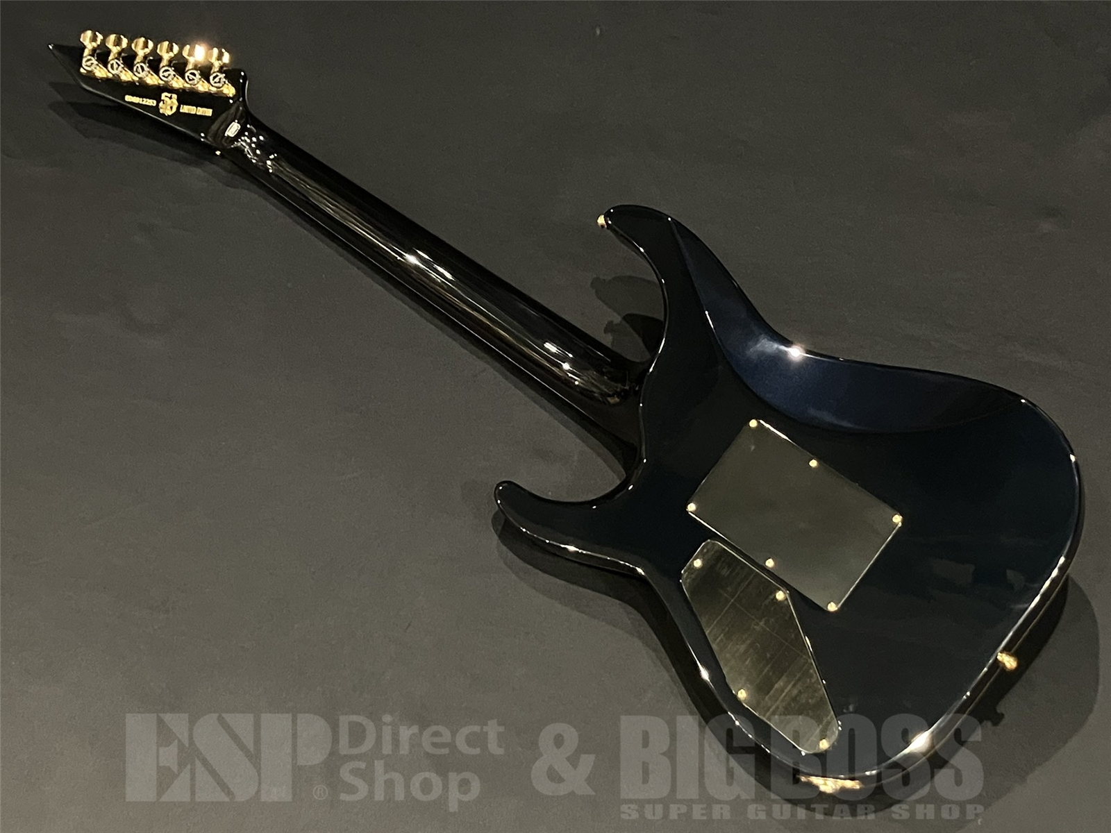 【即納可能】EDWARDS(エドワーズ) E-HORIZON-CTM 50TH (Black Aqua Burst C / Blue Pearl Back) 京都店