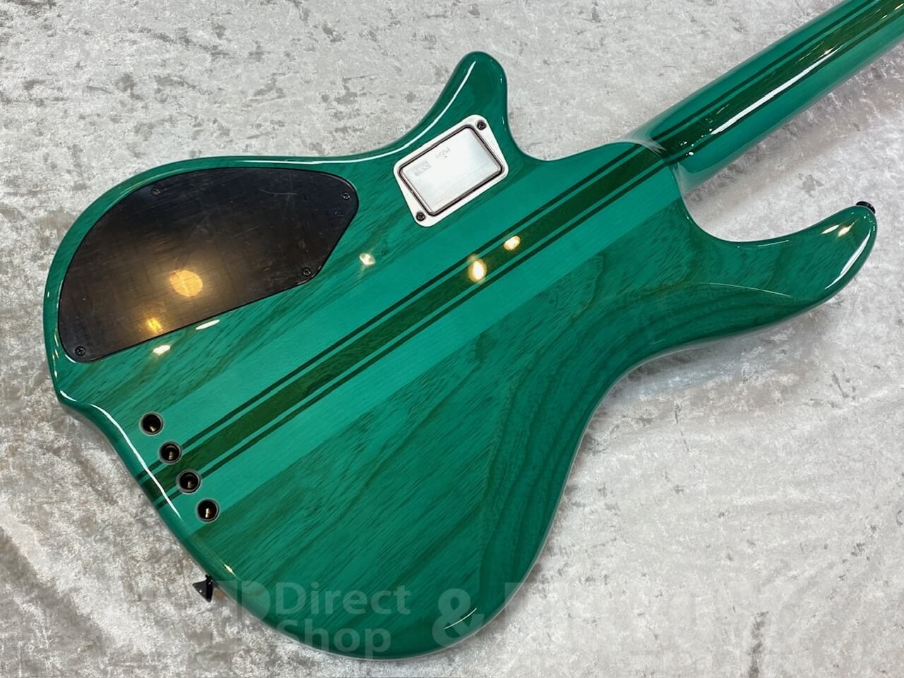 【即納可能】EDWARDS(エドワーズ) E-BOTTOM BUMP /Turquoise GWS - 9