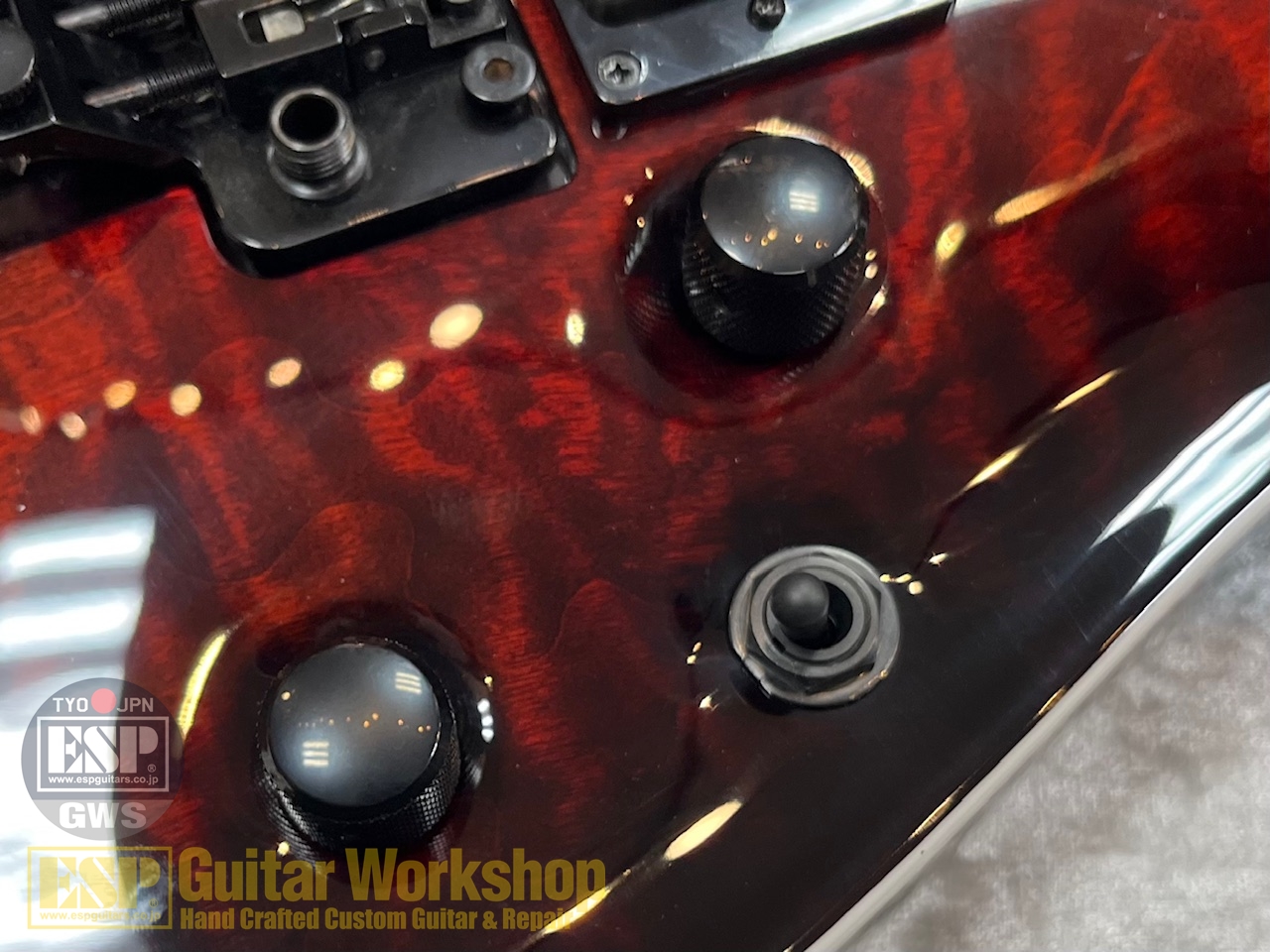 【即納可能】E-II HORIZON FR-II/See Thru Black Cherry Sunburst  GWS