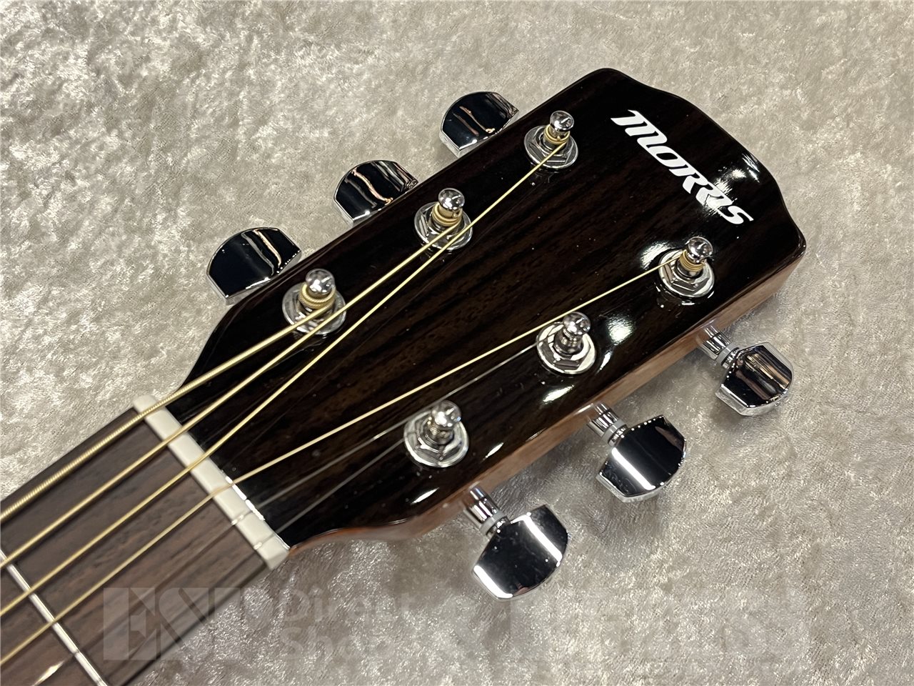 【即納可能】Morris（モーリス）R-1（Natural）　名古屋店