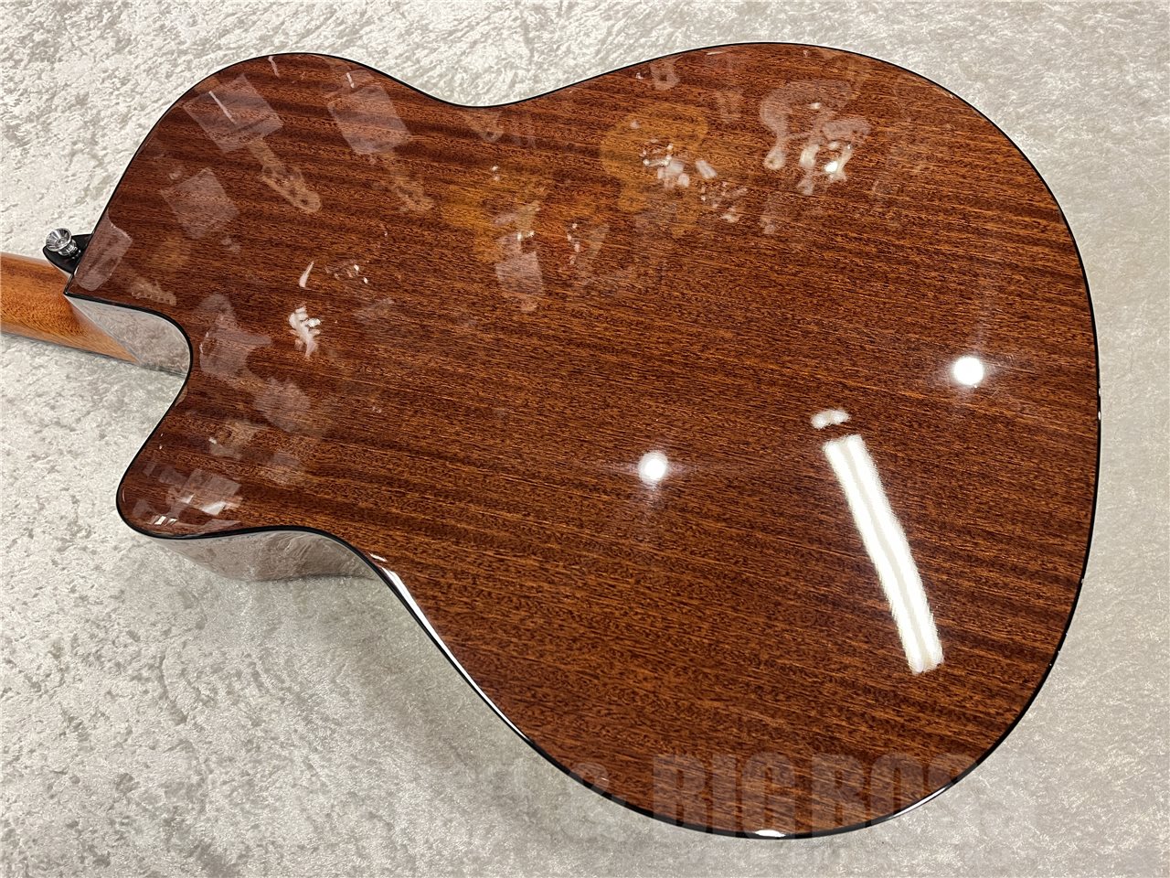 【即納可能】Morris（モーリス）R-1（Natural）　名古屋店