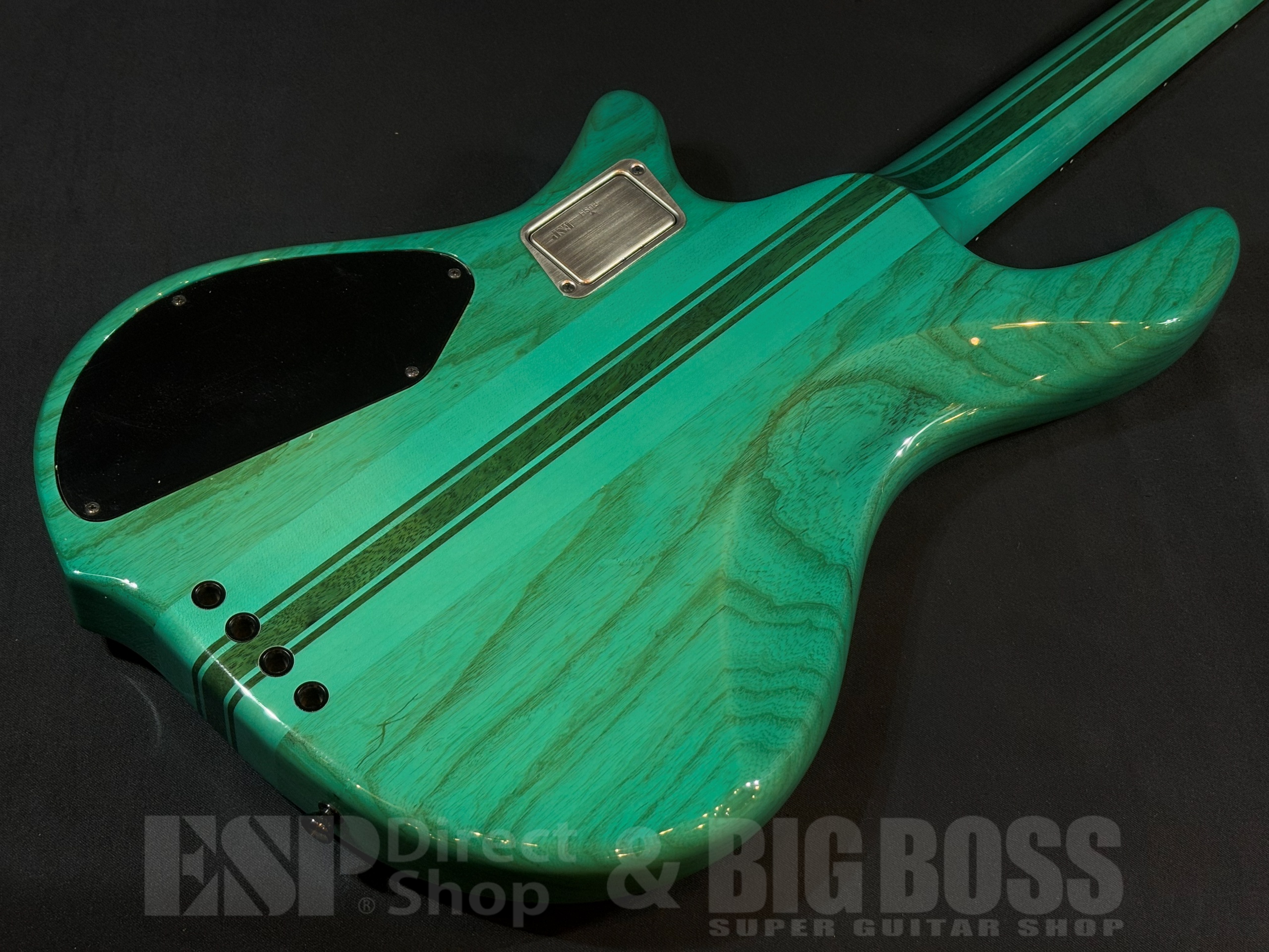 【即納可能】EDWARDS(エドワーズ) E-BOTTOM BUMP / Turquoise 大阪店