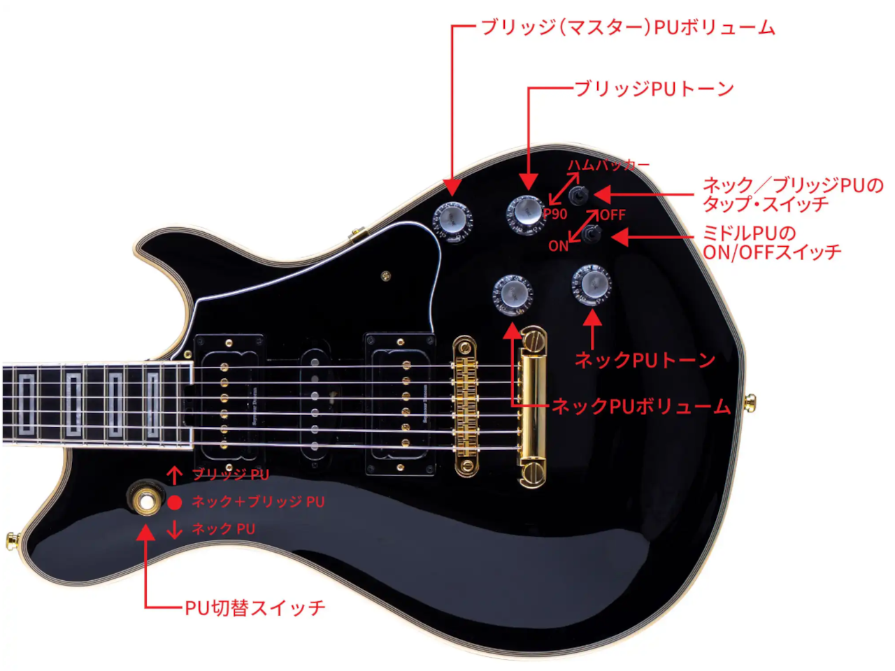 【受注生産】Killer(キラー) KG-Marquis Custom KJ /Black (Gold parts)