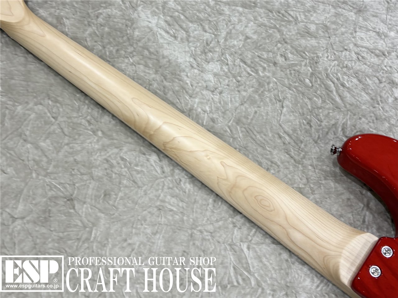 【即納可能】STELLA GEAR Bardic-DL / See Thru Fiesta Red　渋谷店