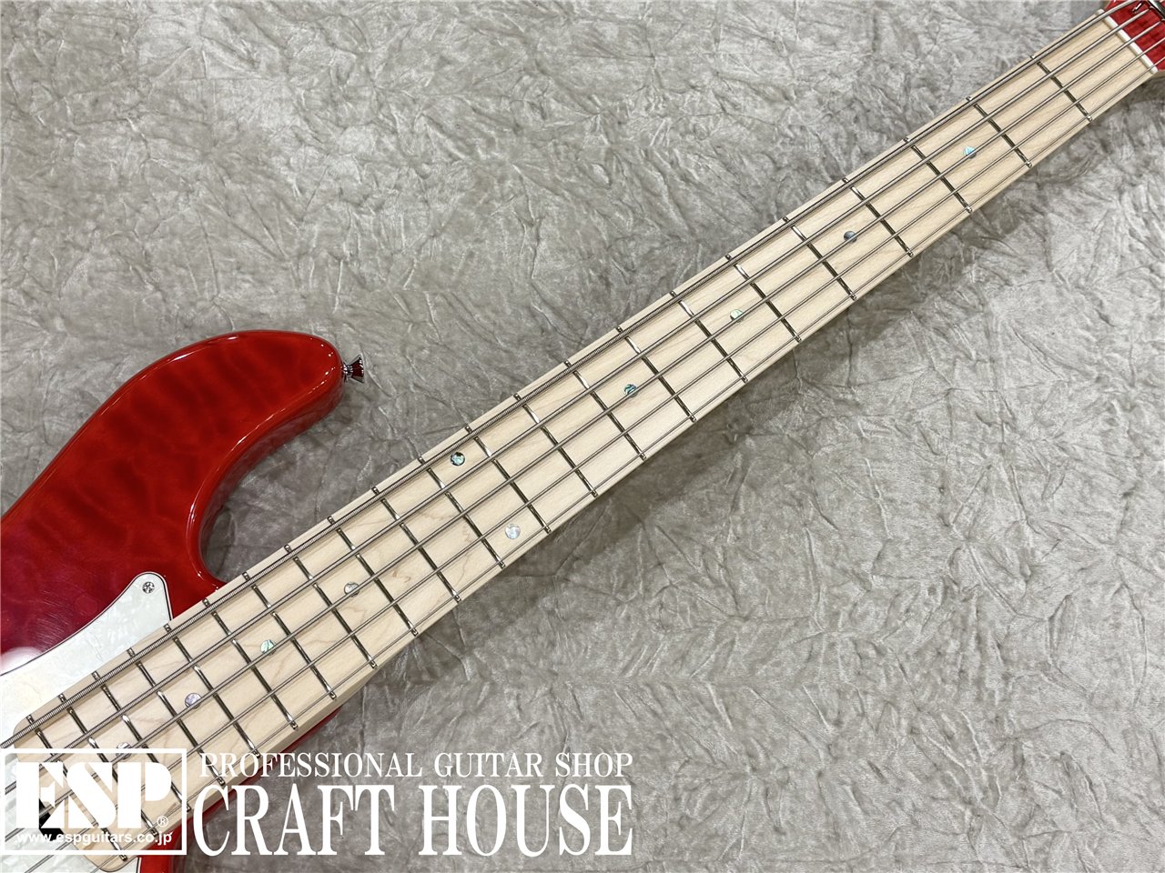 【即納可能】STELLA GEAR Bardic-DL / See Thru Fiesta Red　渋谷店