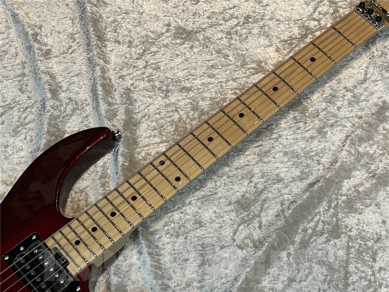 【即納可能】Killer(キラー) KG-Fascist Vice SE (Delicious red) 広島店