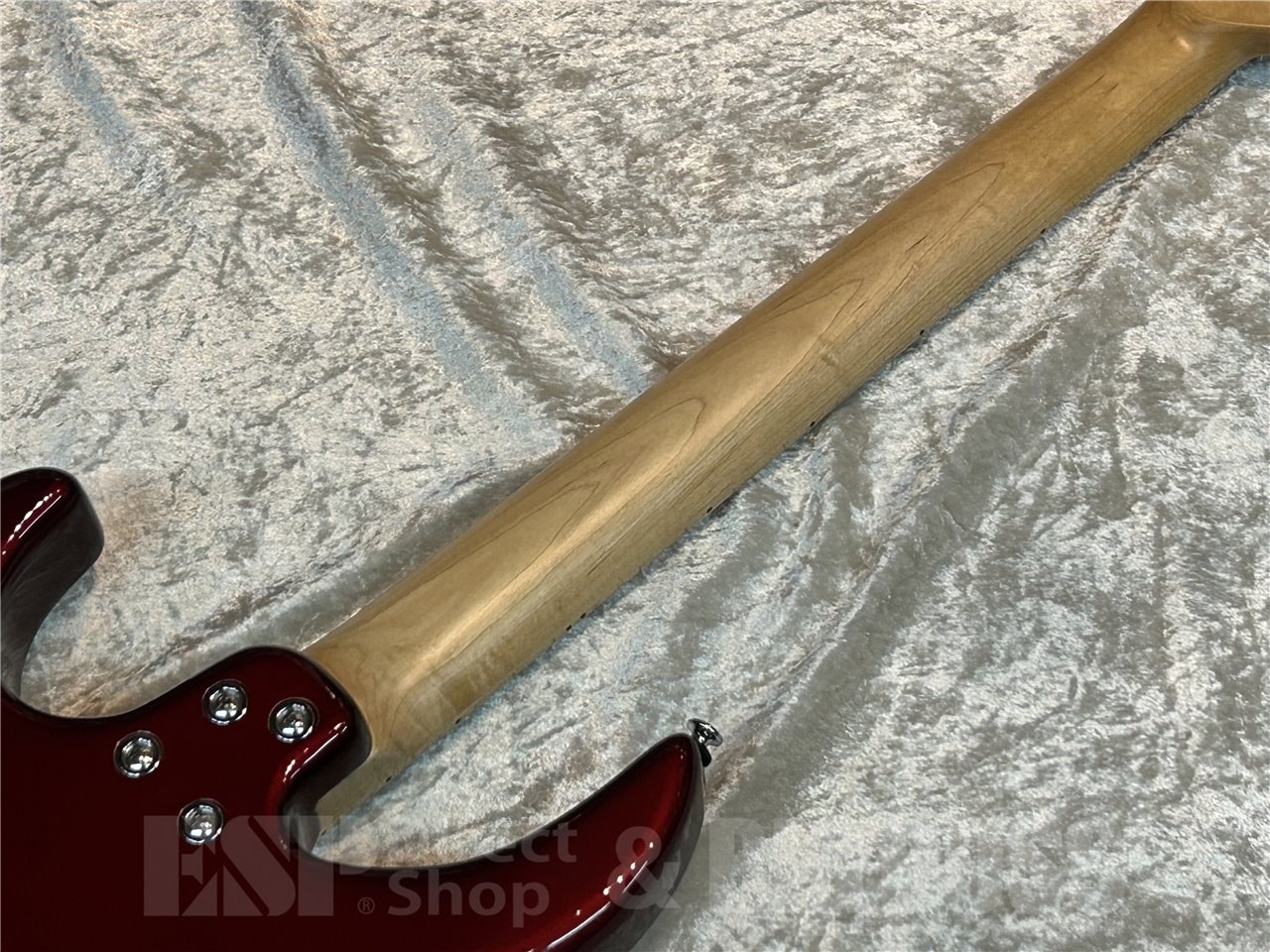 【即納可能】Killer(キラー) KG-Fascist Vice SE (Delicious red) 広島店