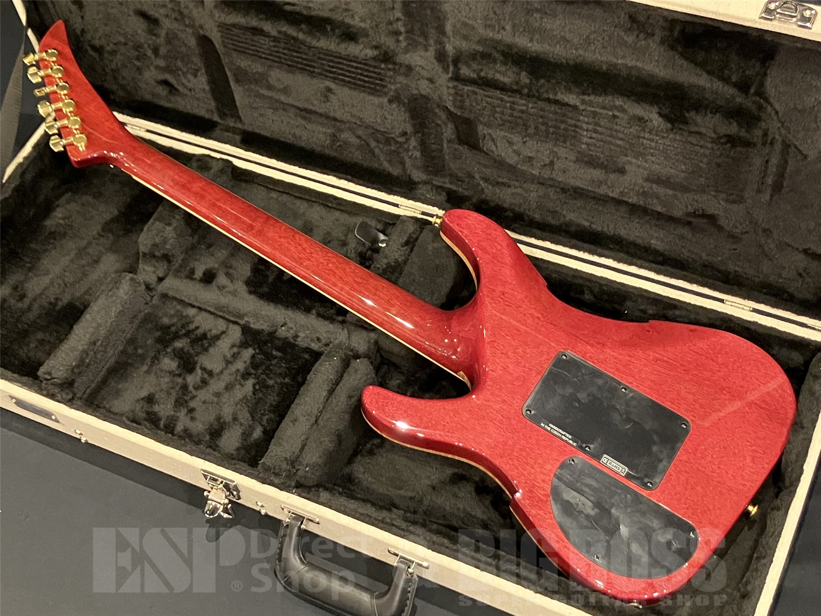 【即納可能】PEAVEY Adrian Vandenberg Signature Guitar / Purple Flame Maple 京都店