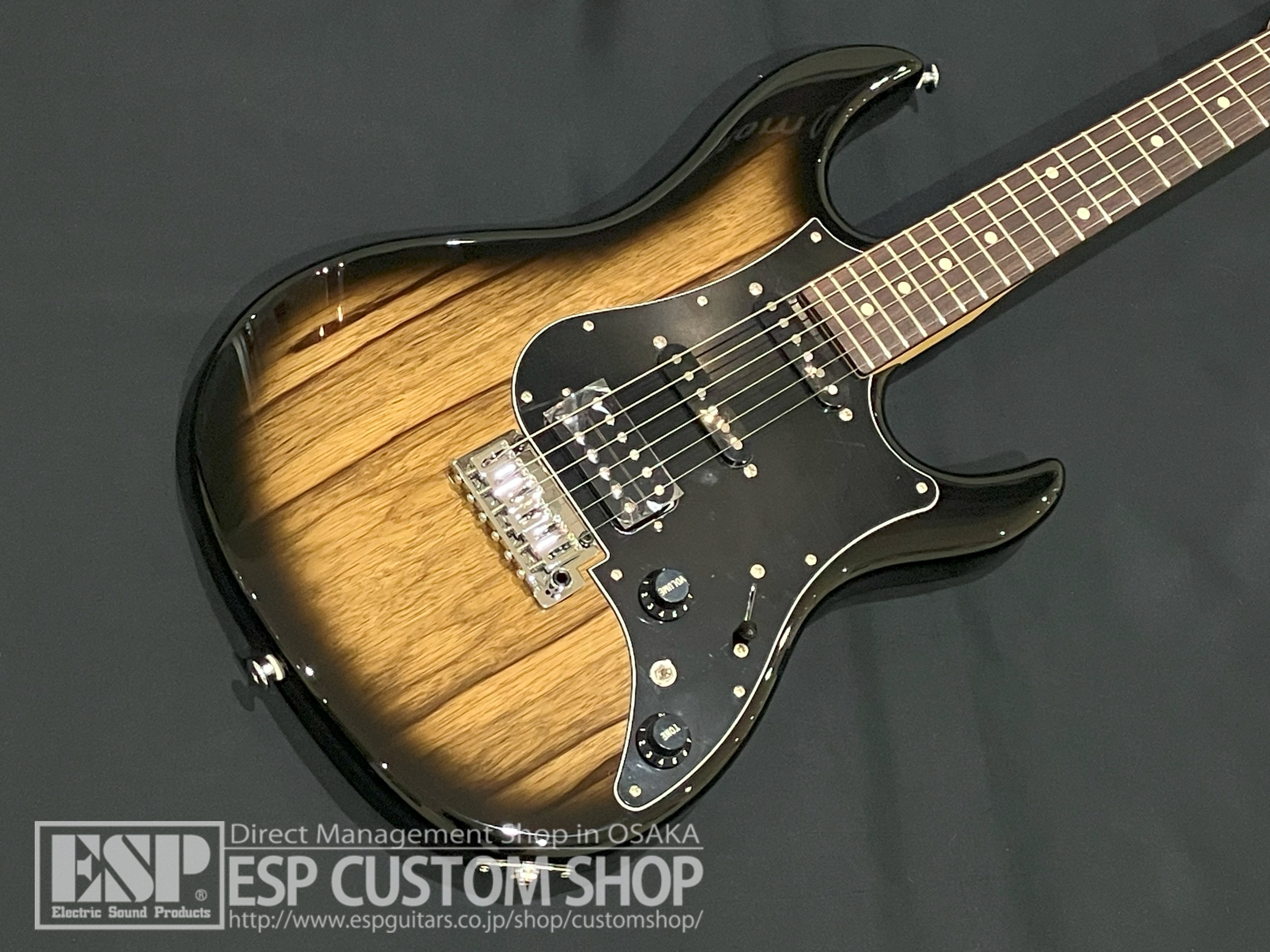 【即納可能】FUJIGEN(FGN) JOS2-TD-EW1-R DMT (Dark Mocha Burst) 大阪店