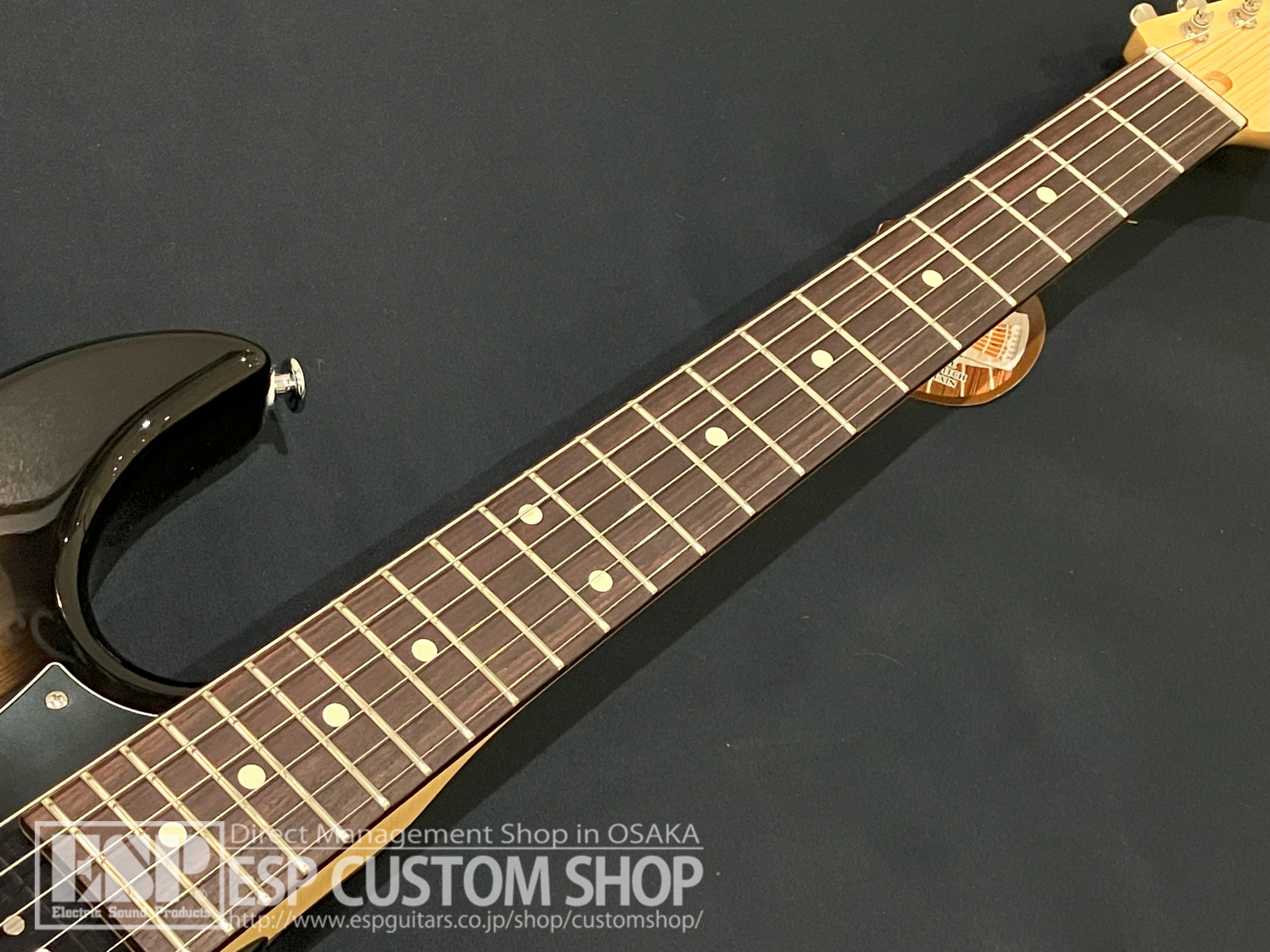 【即納可能】FUJIGEN(FGN) JOS2-TD-EW1-R DMT (Dark Mocha Burst) 大阪店