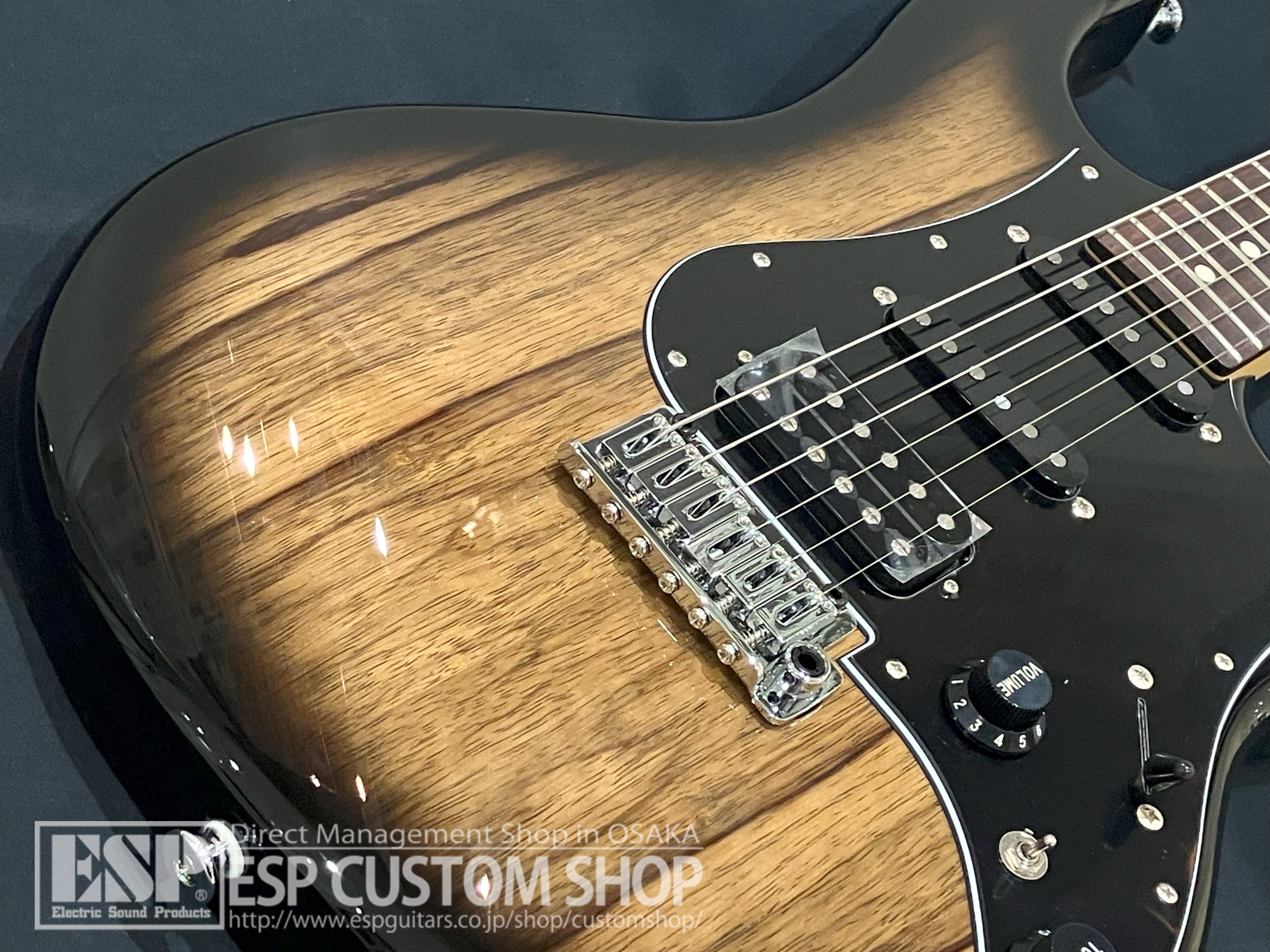 【即納可能】FUJIGEN(FGN) JOS2-TD-EW1-R DMT (Dark Mocha Burst) 大阪店