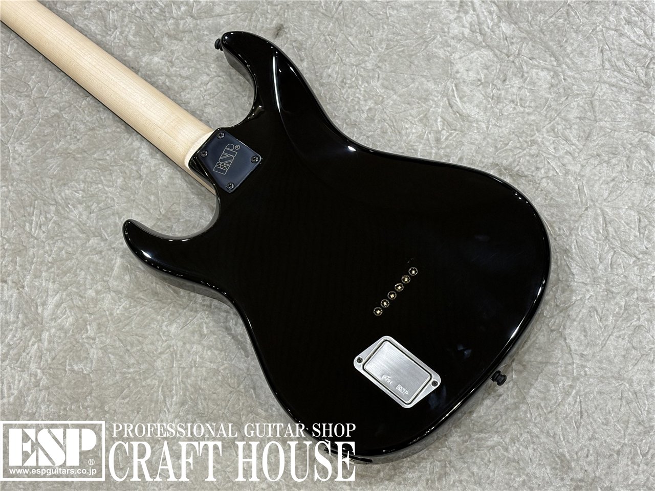 【即納可能】E-II SN-3 / Tiger Eye Sunburst　渋谷店 - 6