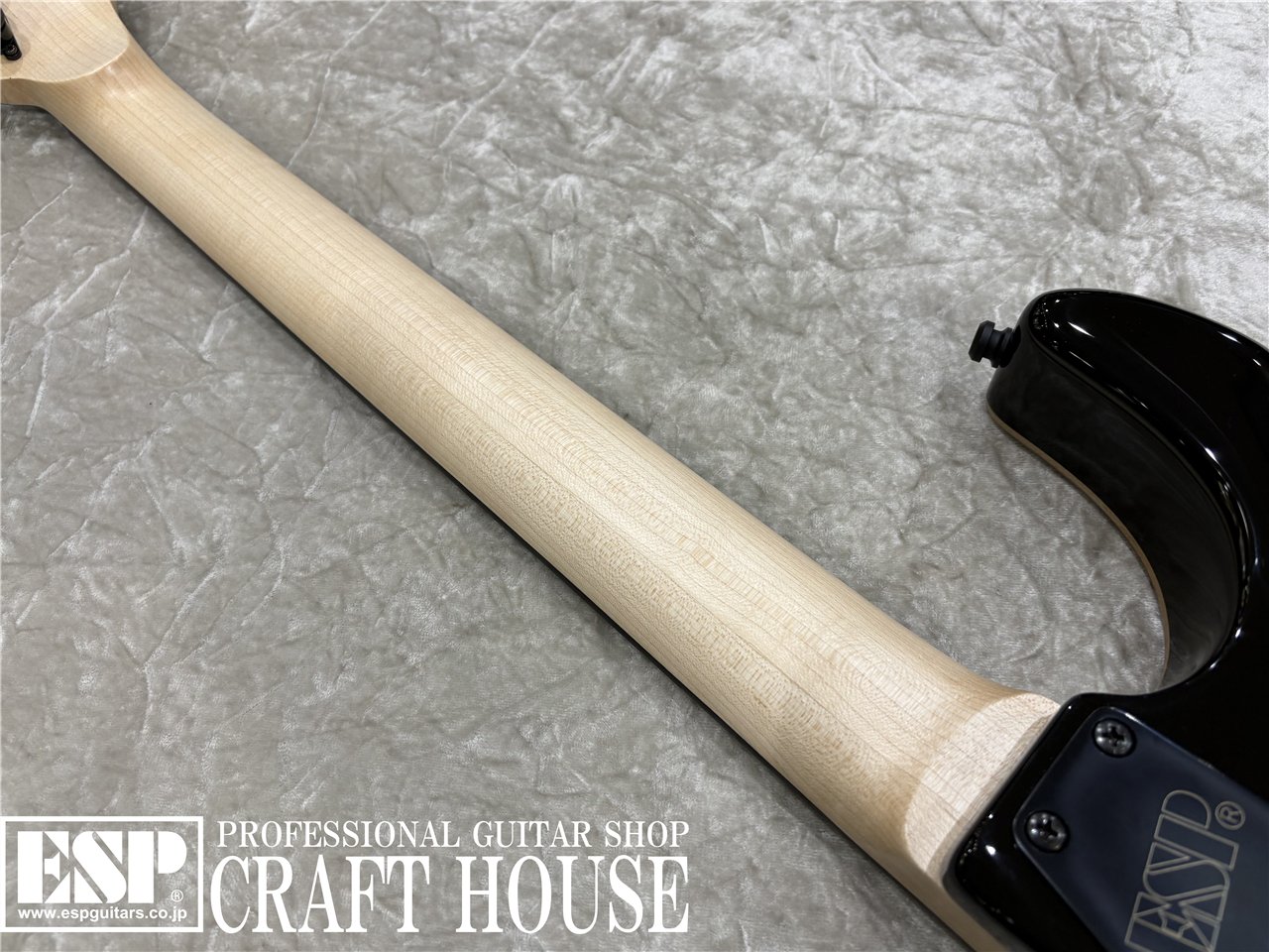 【即納可能】E-II SN-3 / Tiger Eye Sunburst　渋谷店 - 7