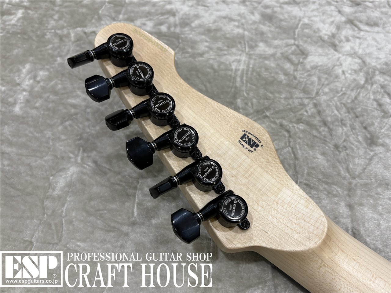 【即納可能】E-II SN-3 / Tiger Eye Sunburst　渋谷店 - 8